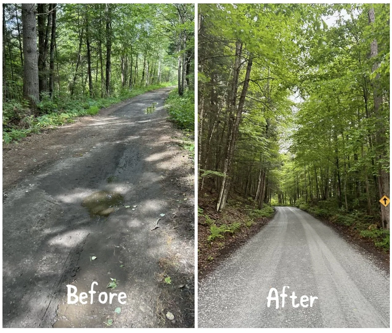 Community Rallies To Revitalize The Groton Rail Trail — The Bridge ...