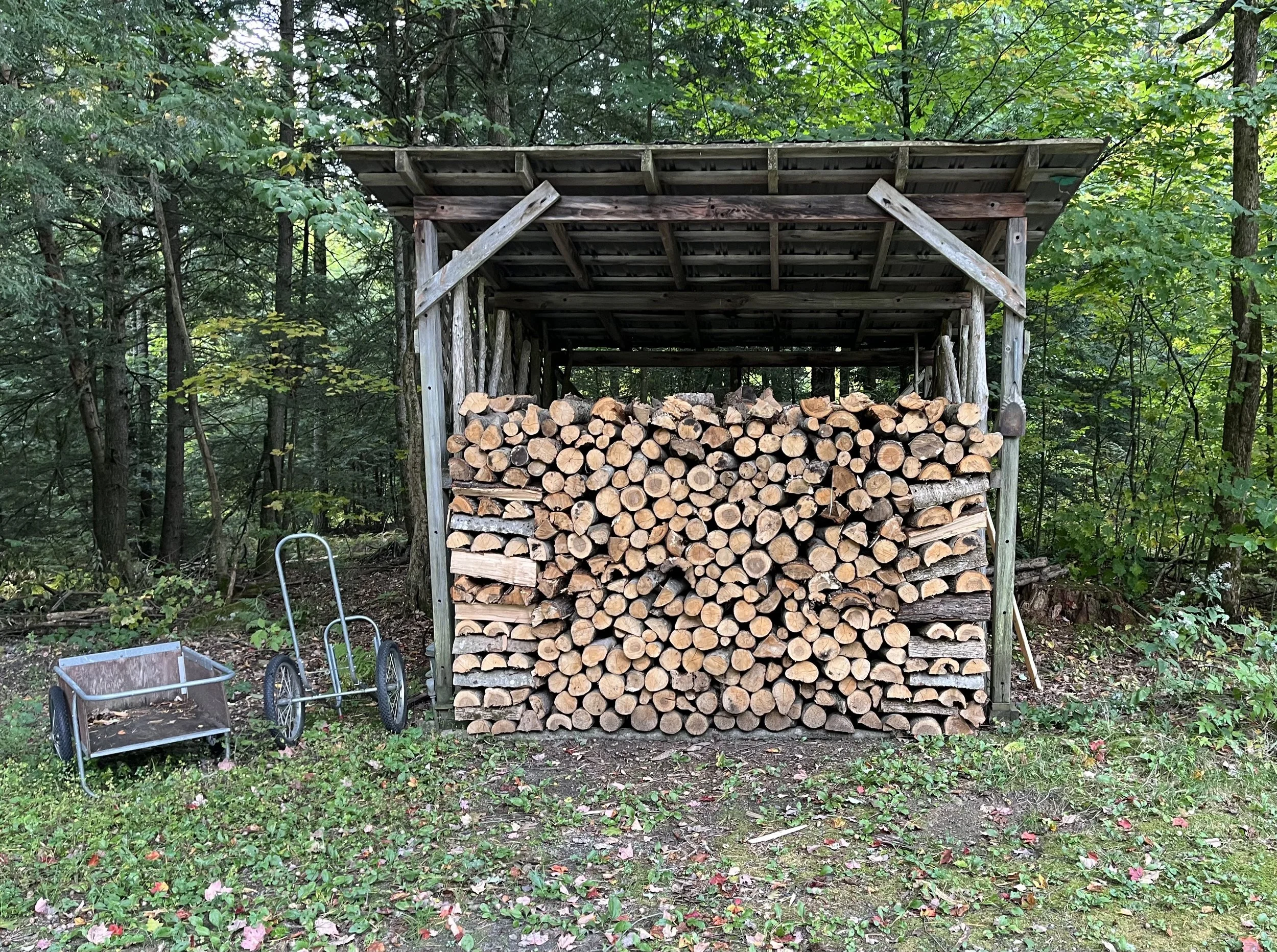 Cutting Wood Is Good For The Body And The Psyche