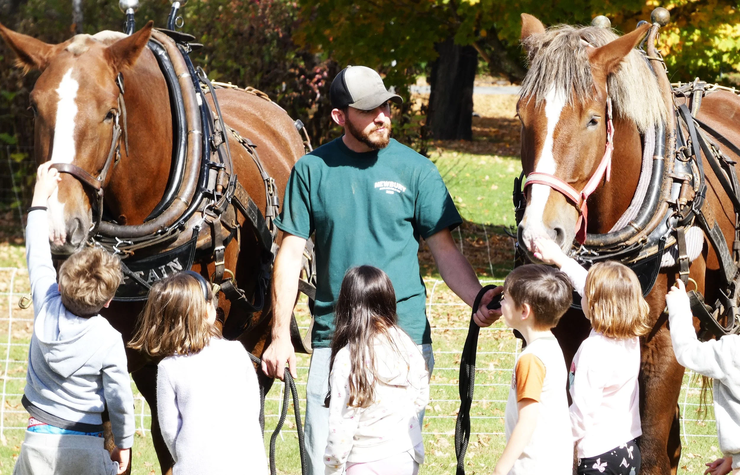 Full crowds for Newbury Elementary School Farm and Field Show