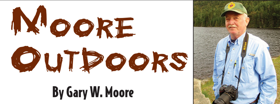 Moore Outdoors