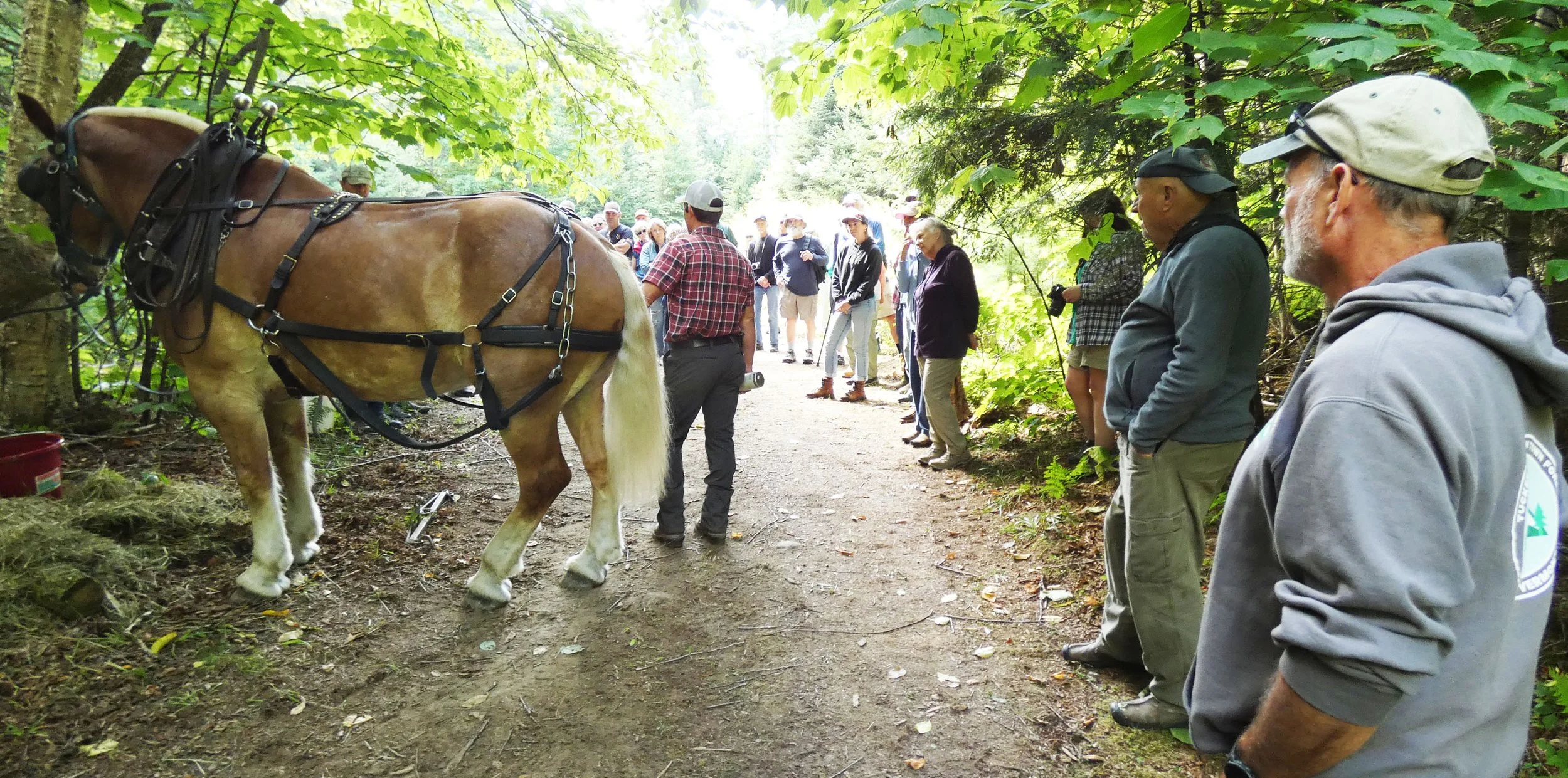 Apples, Old Implements, Music, and Logging: It Was All There For Tucker Mountain Day