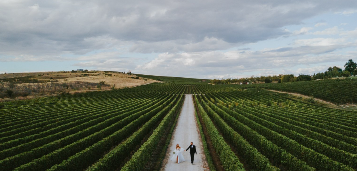 галерия 1.png