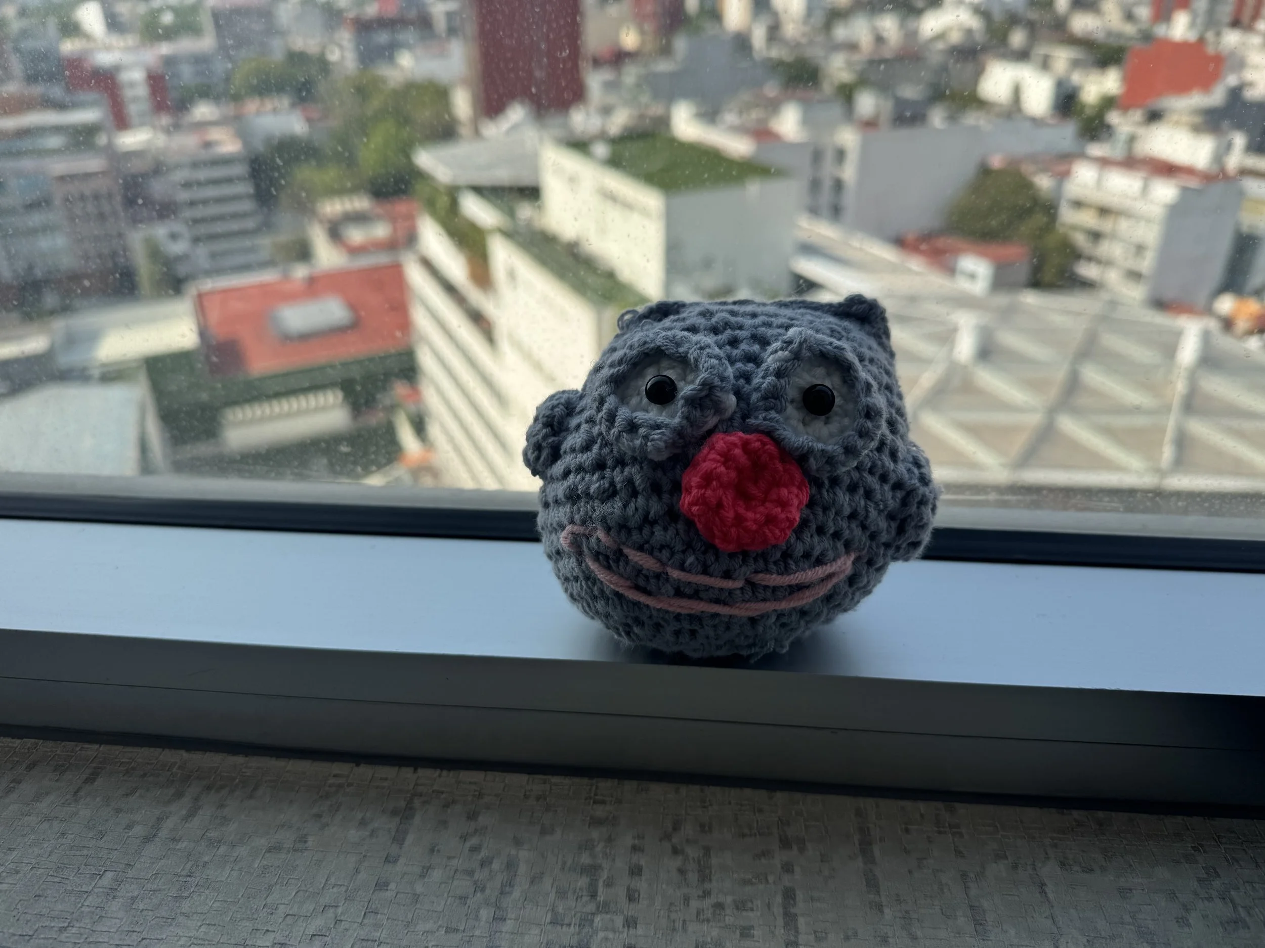 IMG_8515.jpeg