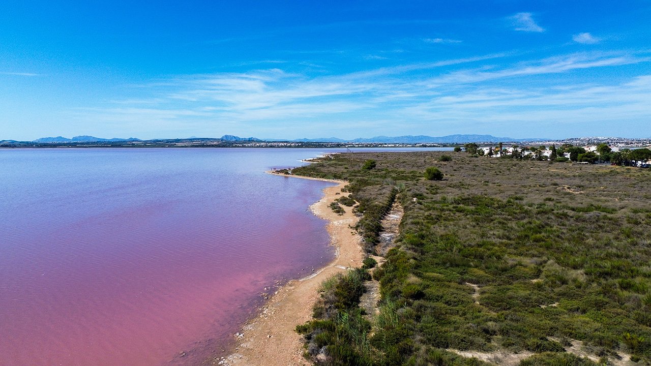 Uitzicht op een roze gekleurde rivier omgeven door groene vegetatie en een blauw heldere lucht.