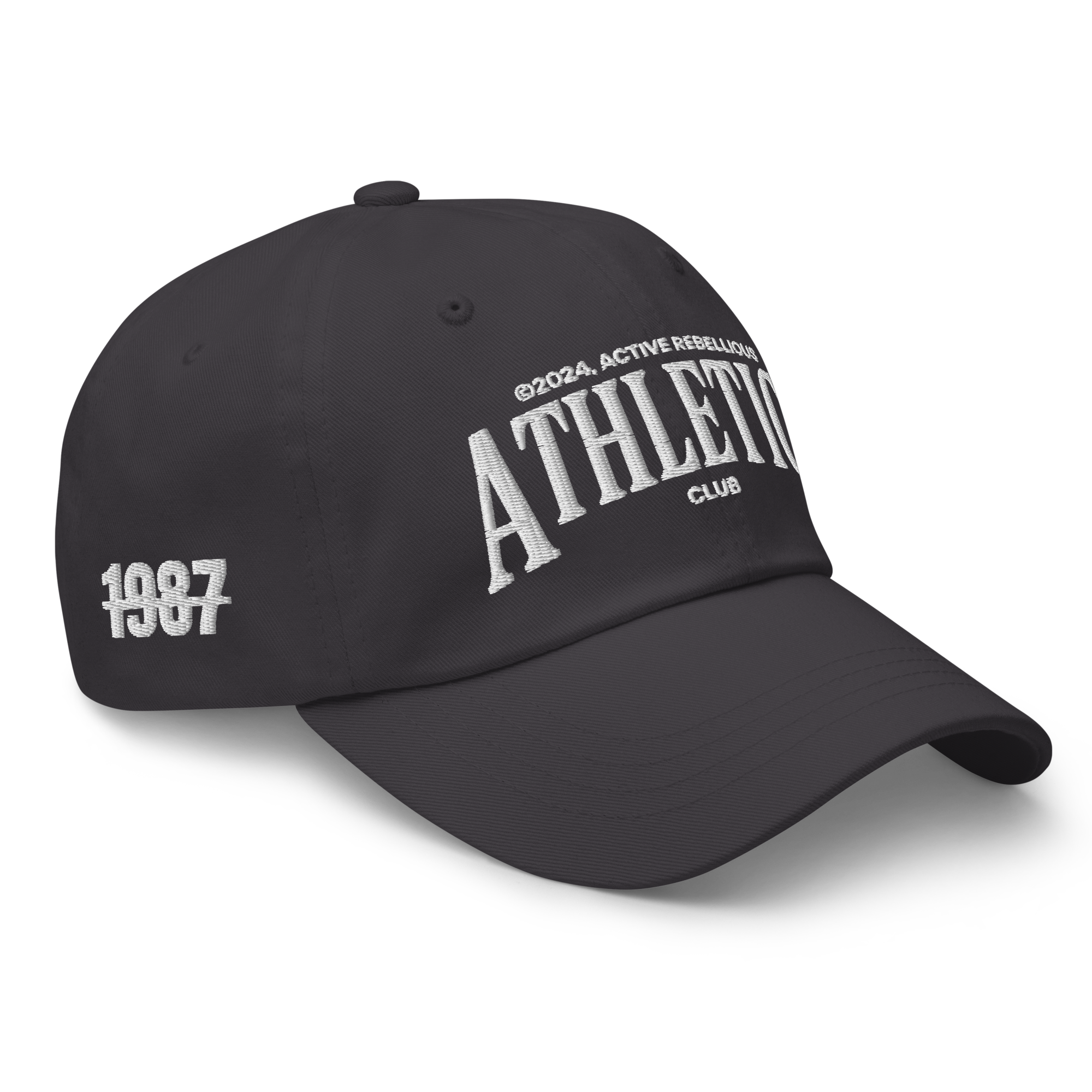 classic-dad-hat-dark-grey-right-front-69b8719889be3.png