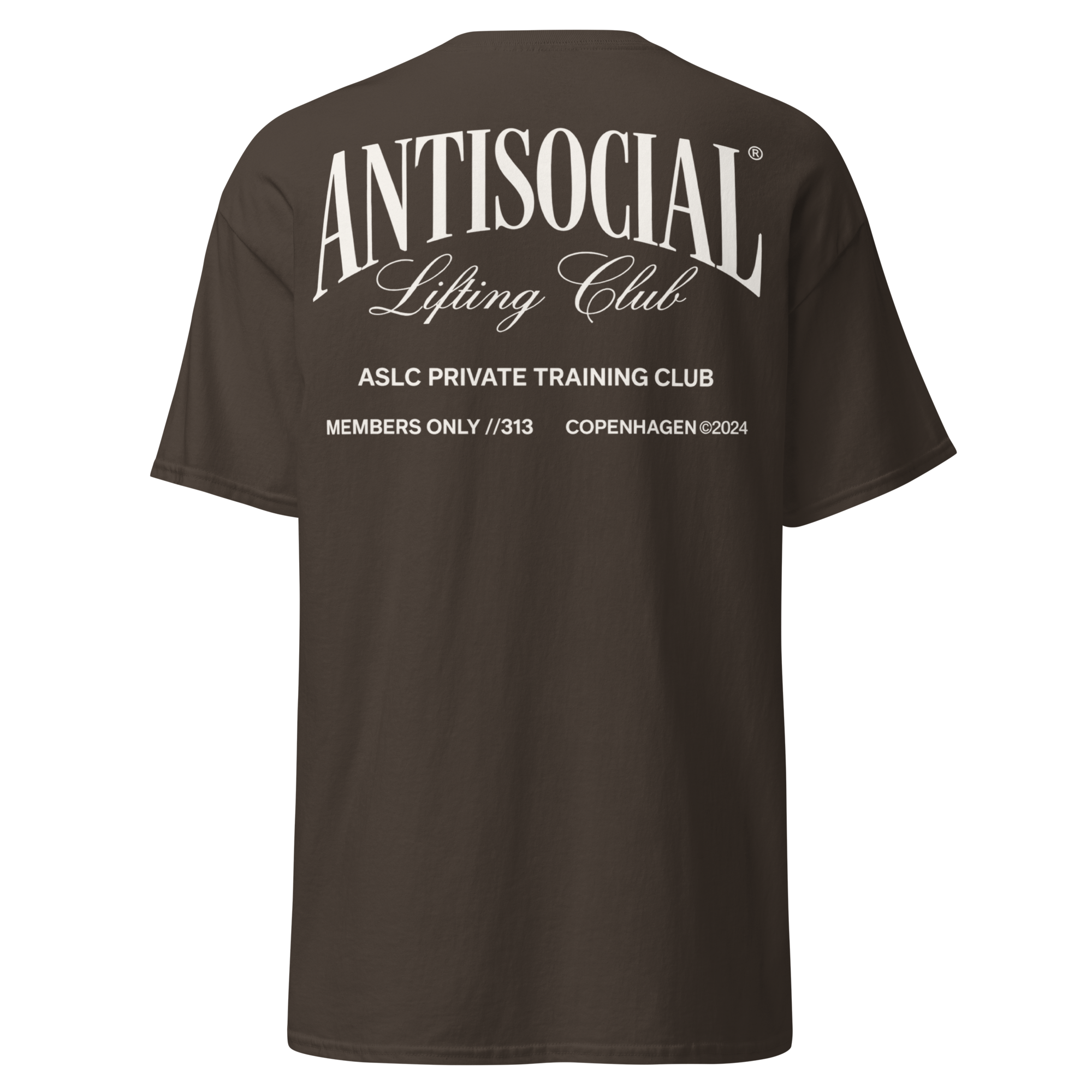 aslc-core-01-gym-tee-brown-unisex