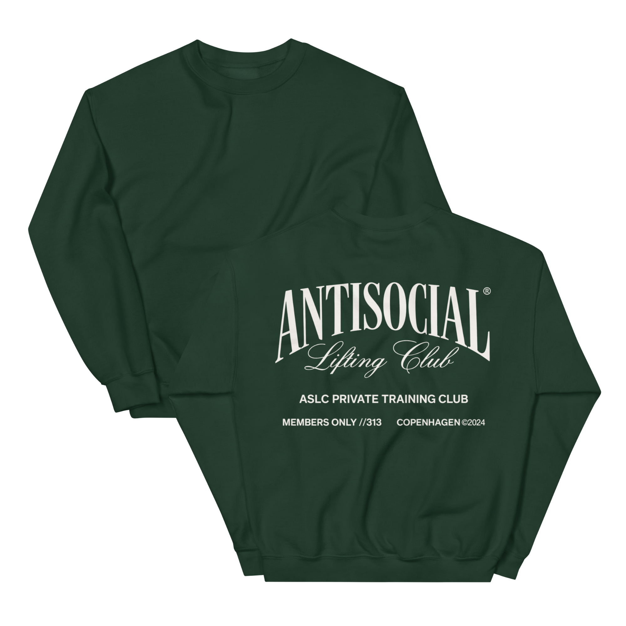 CORE 03 SWEATSHIRT MOSS.png