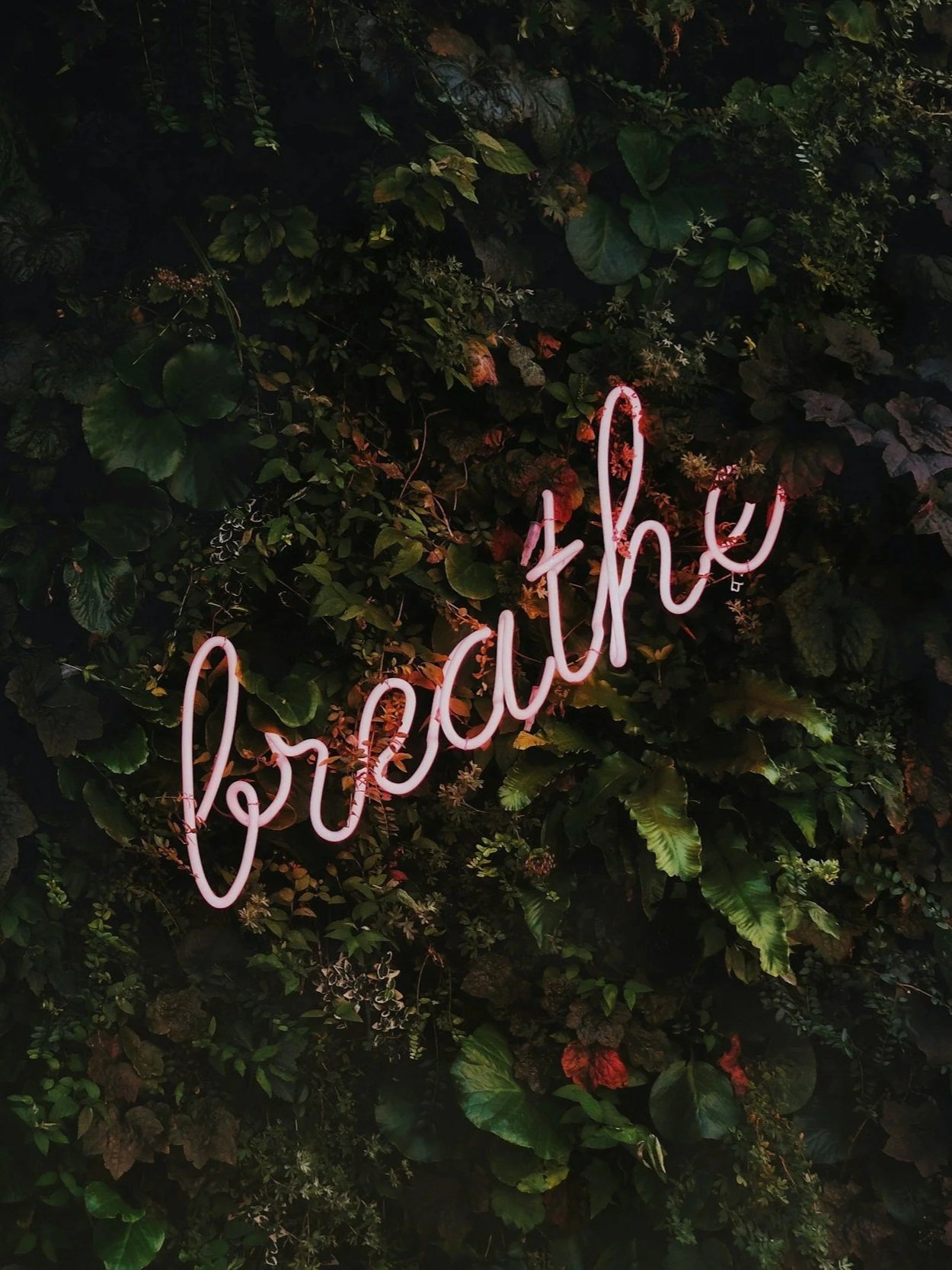 Reminder to breathe and reset your nervous system during busy workdays as a stylist or high-performing woman