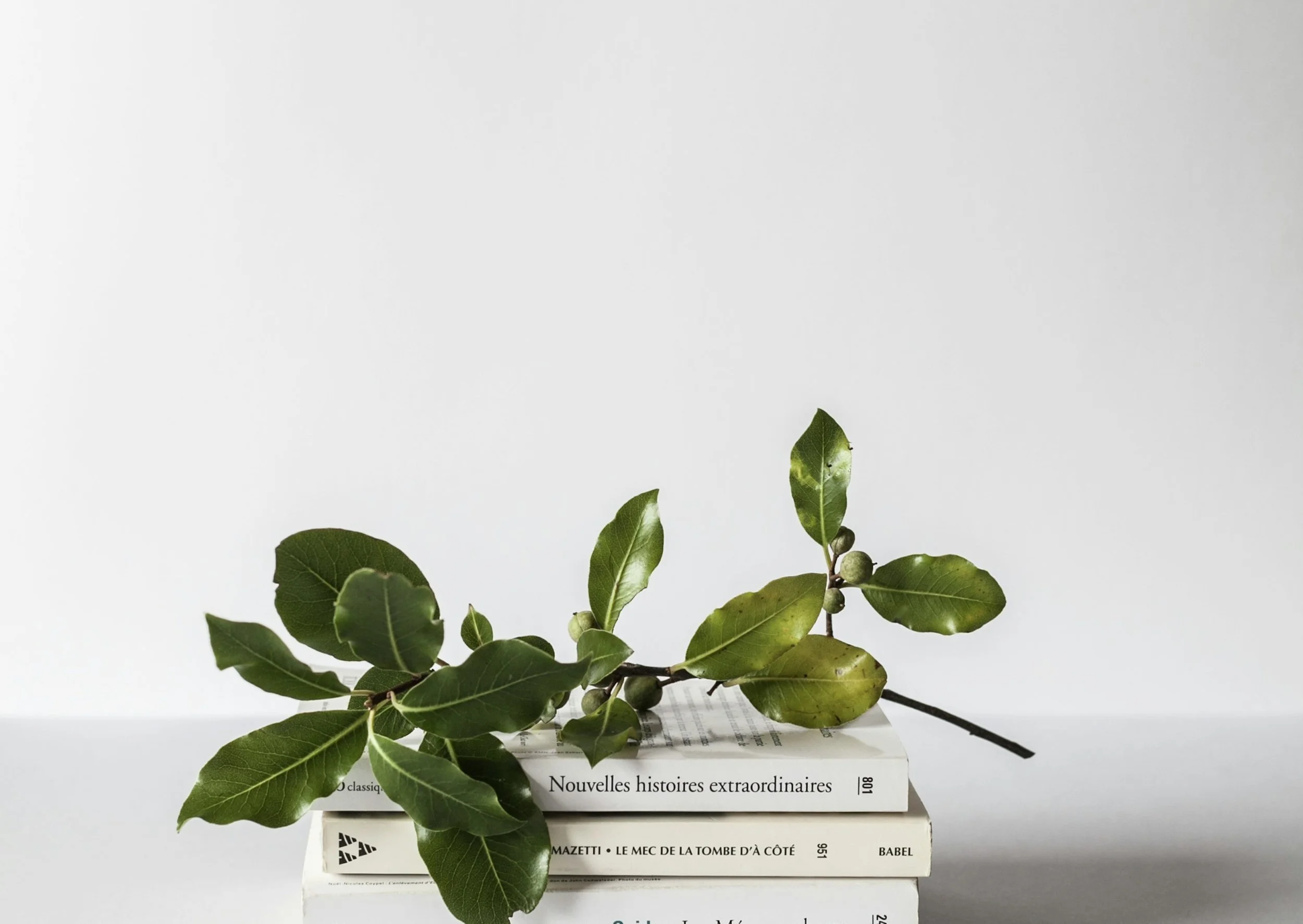 mental health counseling WI coaching across US Muslim therapist SouthAsian Therapist Trauma Therapist Pakistani Indian Hmong EMDR