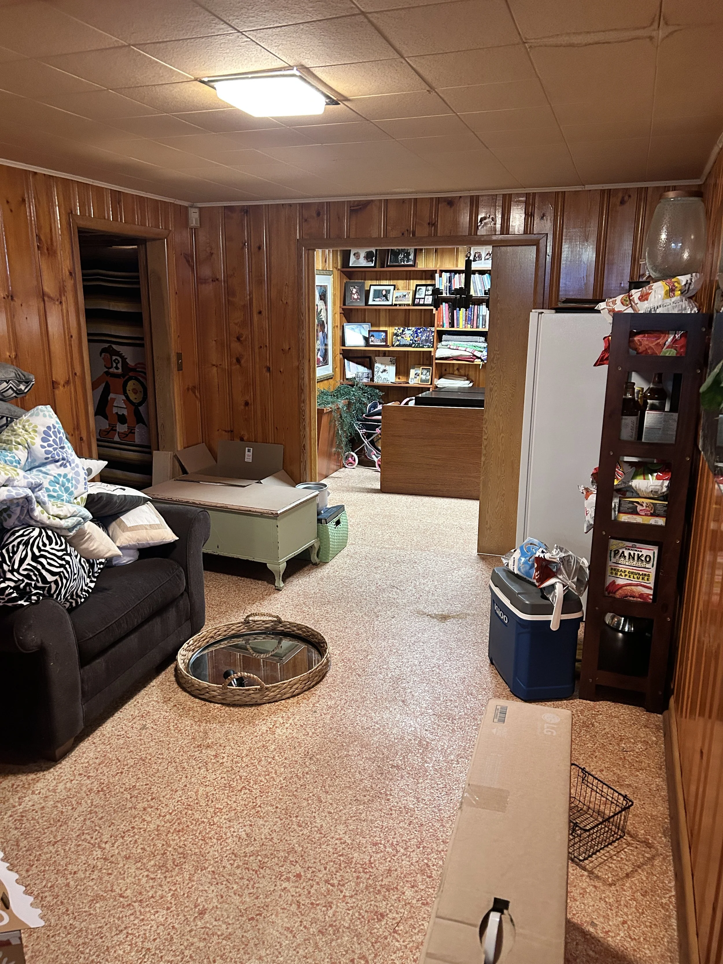 Basement Renovations