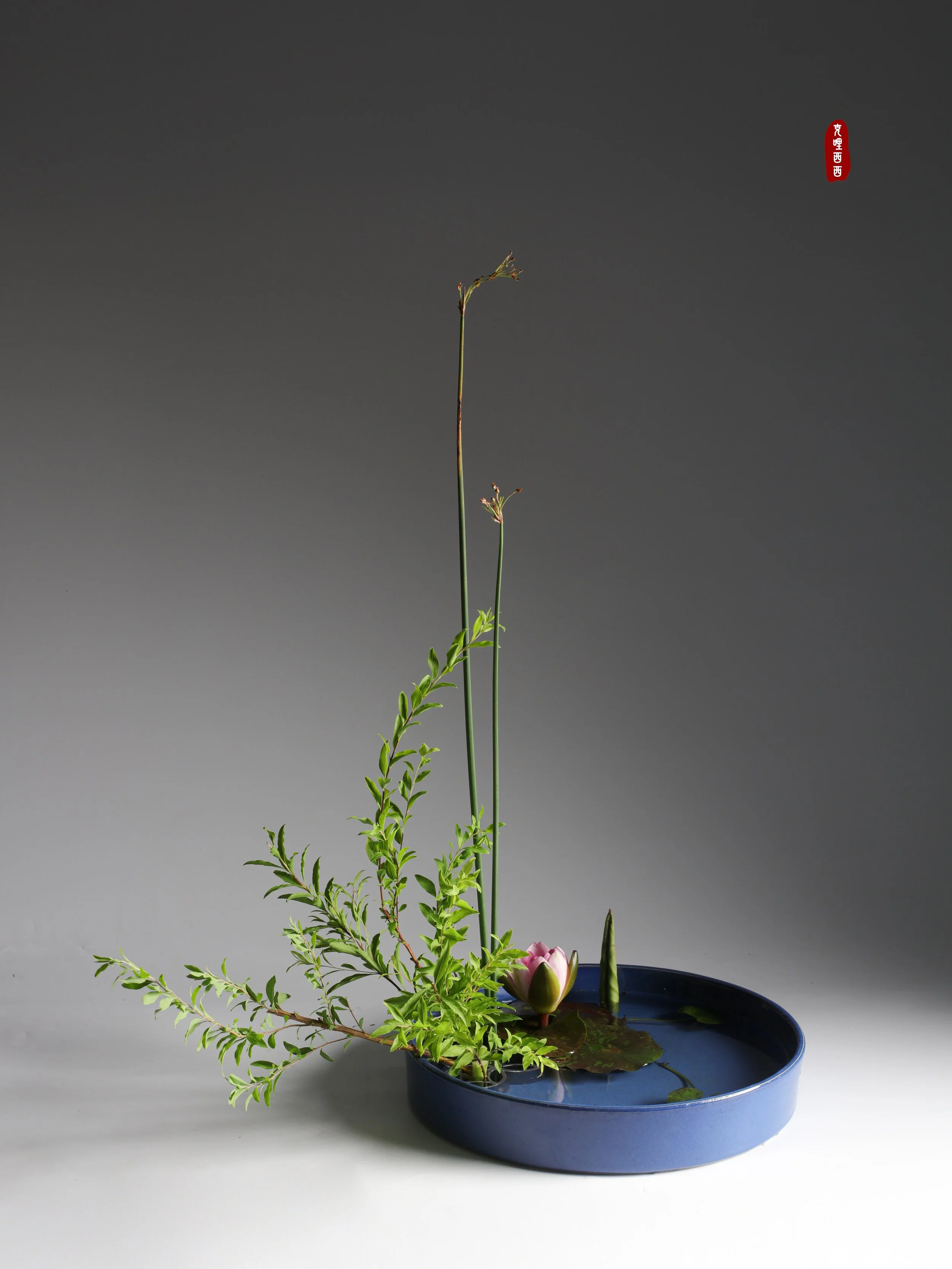 照片 24-03-2026 12 55 00 (13).jpg