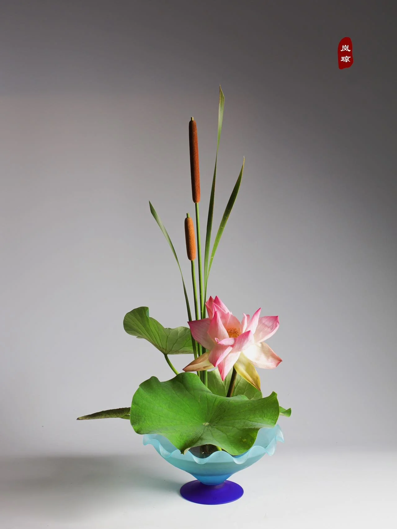 照片 24-03-2026 12 55 00 (7).jpg