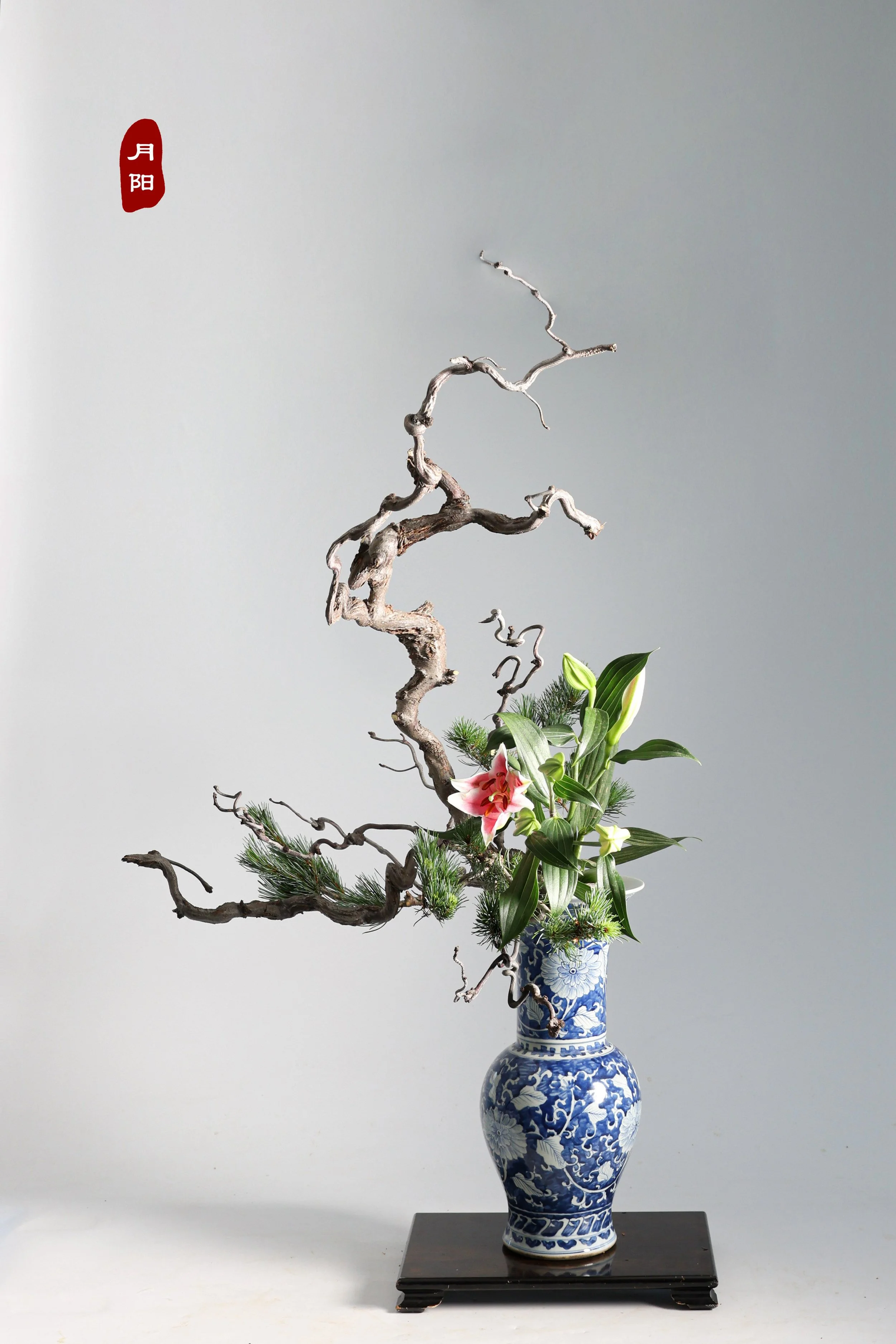 照片 23-06-2025 16 34 07.jpg