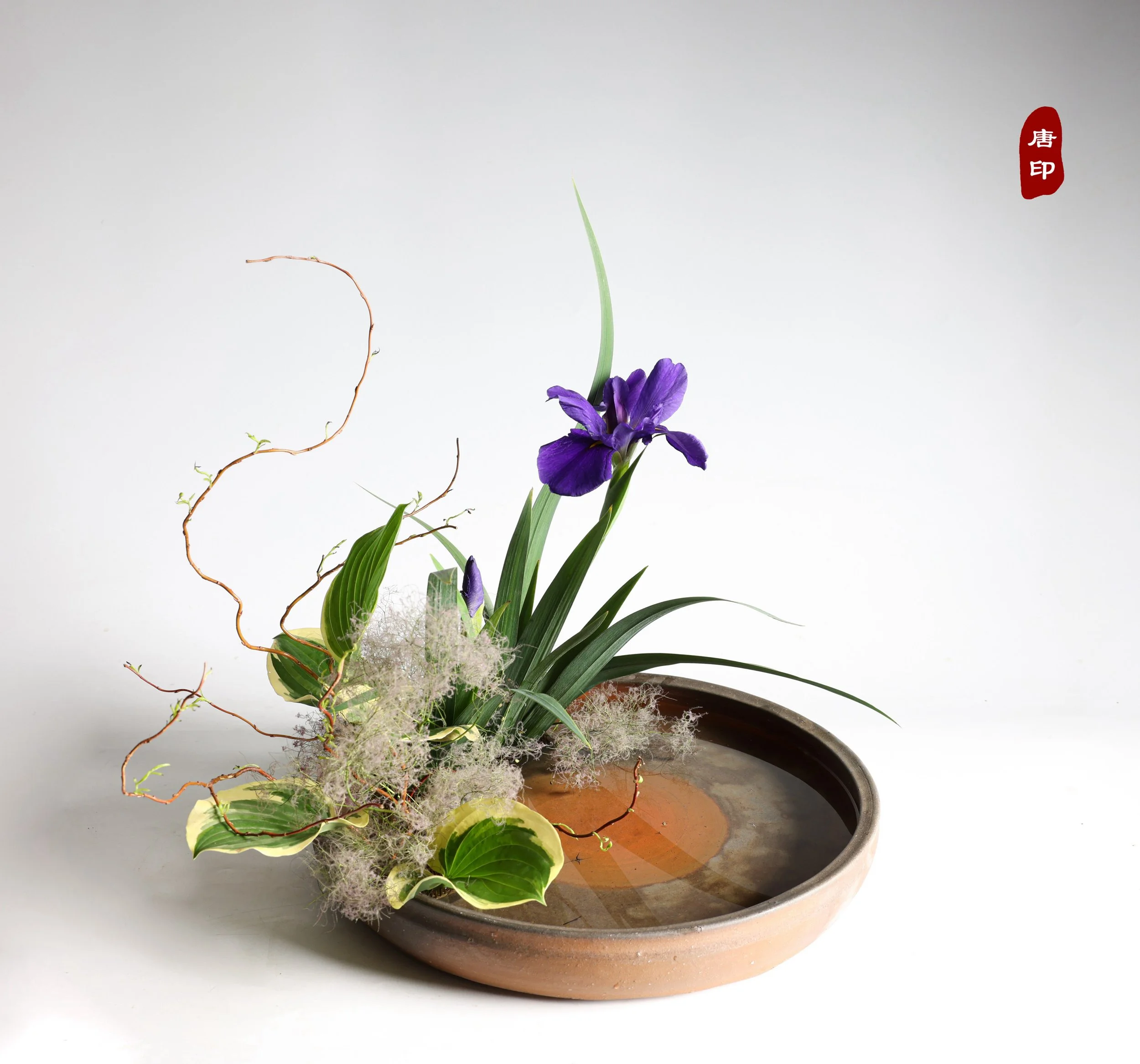 照片 24-05-2025 17 30 27.jpg