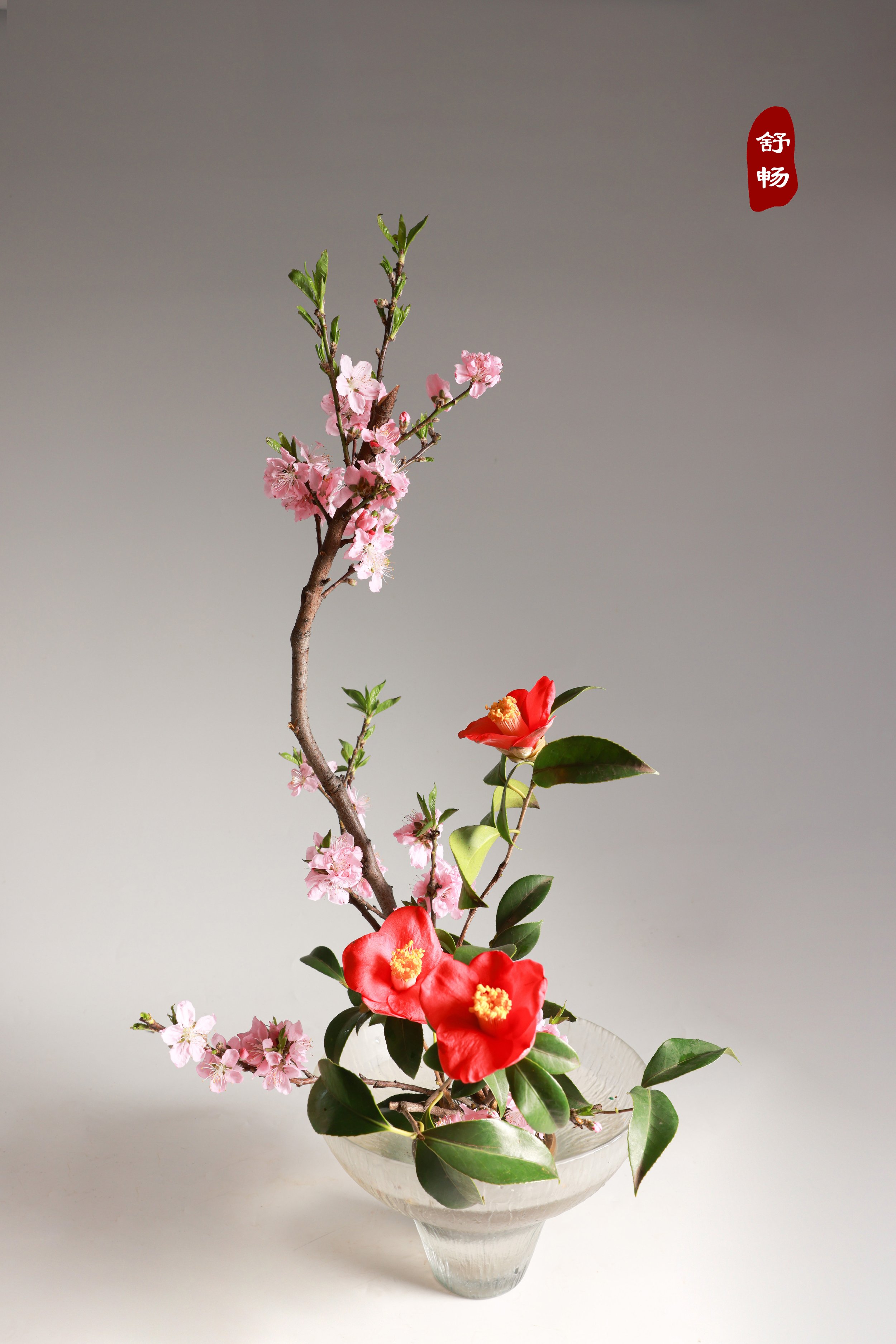 照片 23-03-2026 00 05 50 (1).jpg