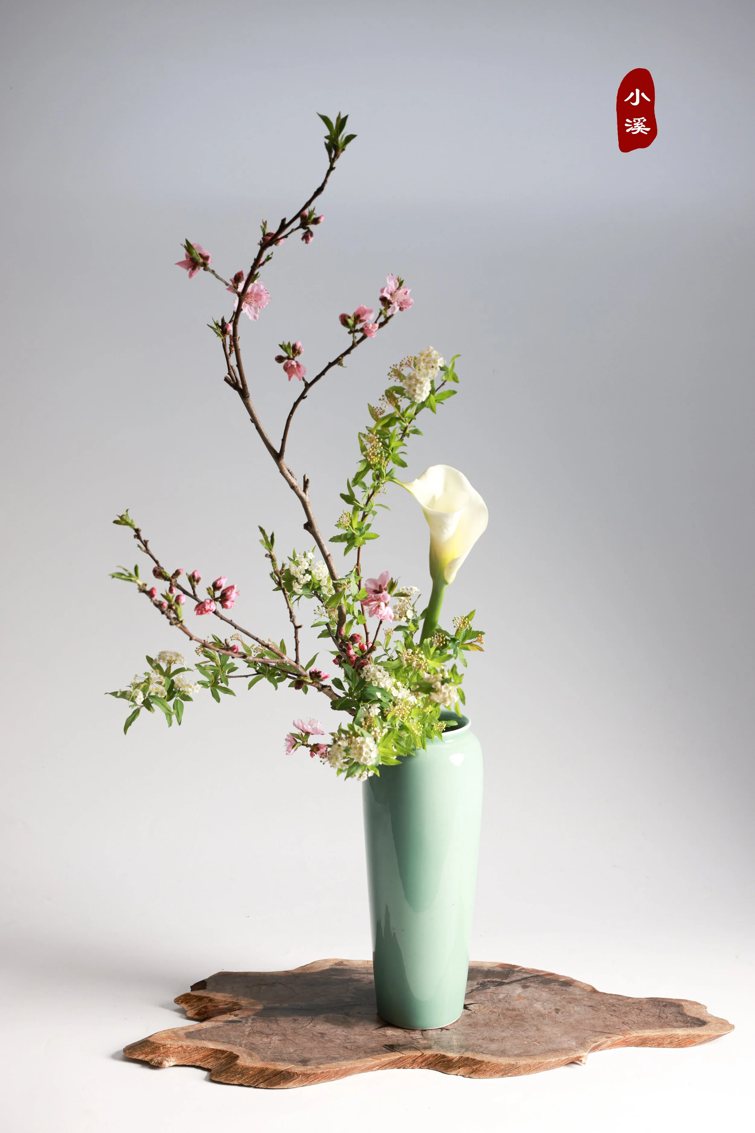 照片 23-03-2026 00 05 50 (3).jpg