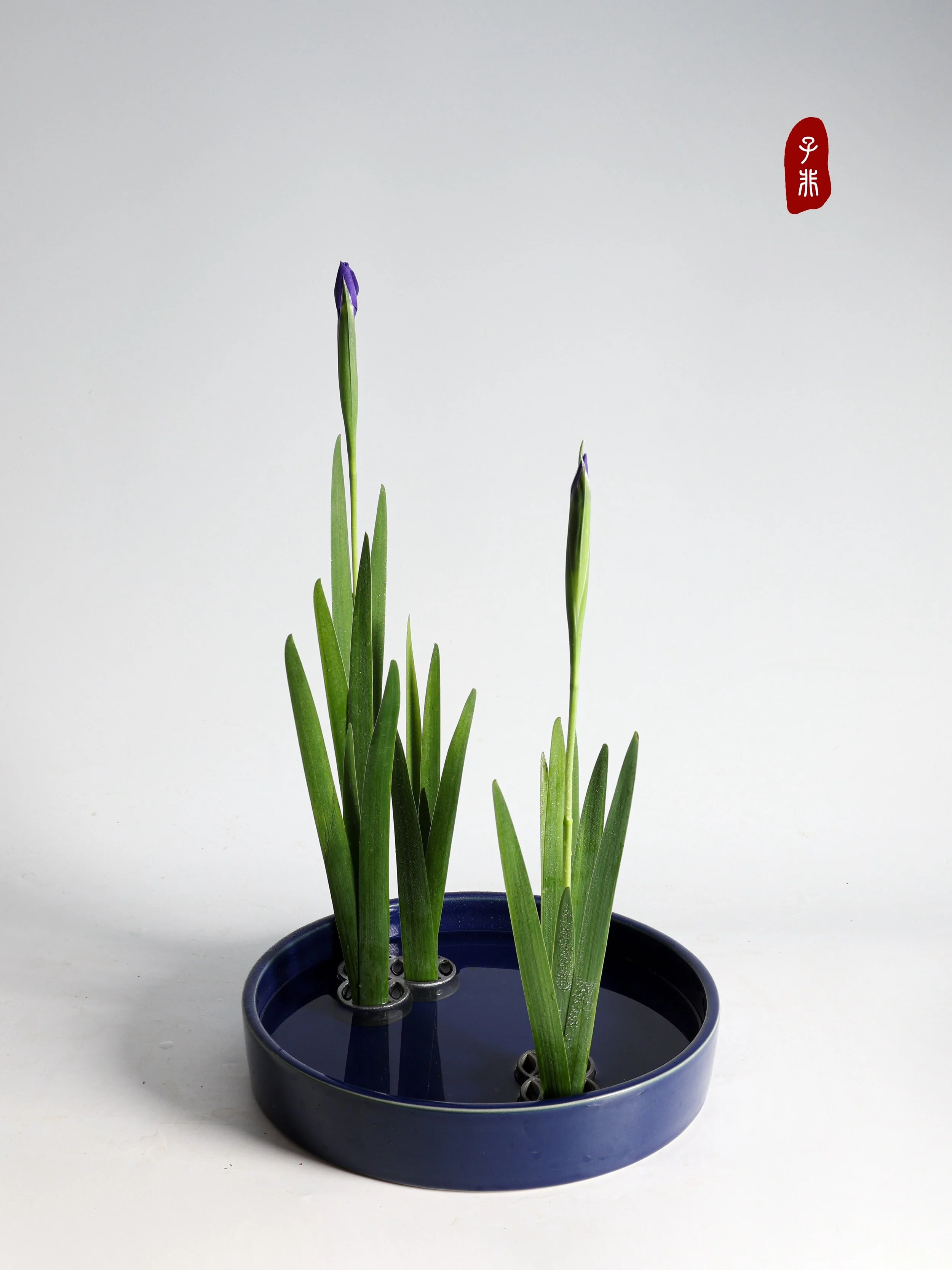 照片 01-06-2025 20 03 02.jpg