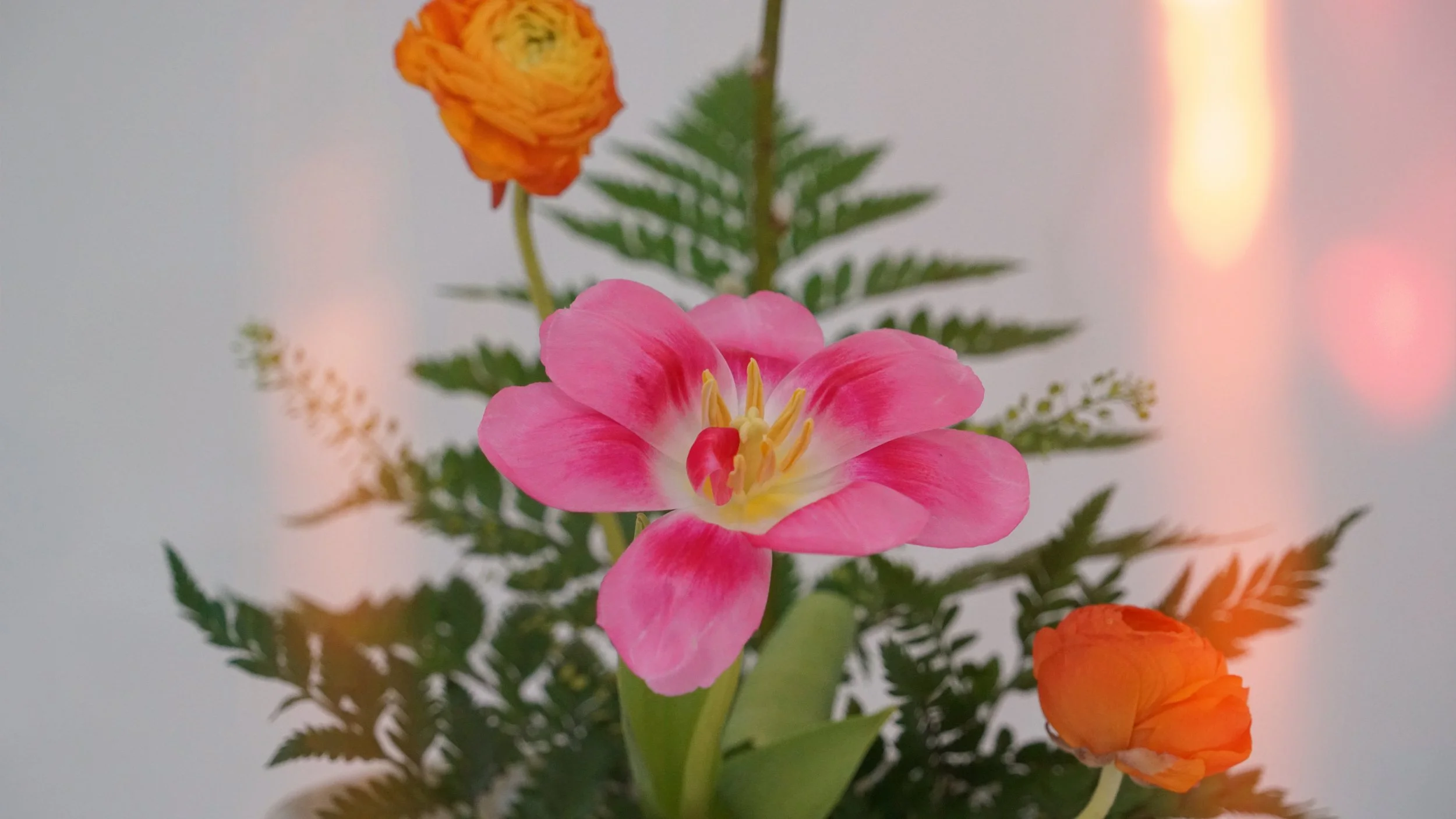 Photo 07-03-2026 02 57 10.jpg