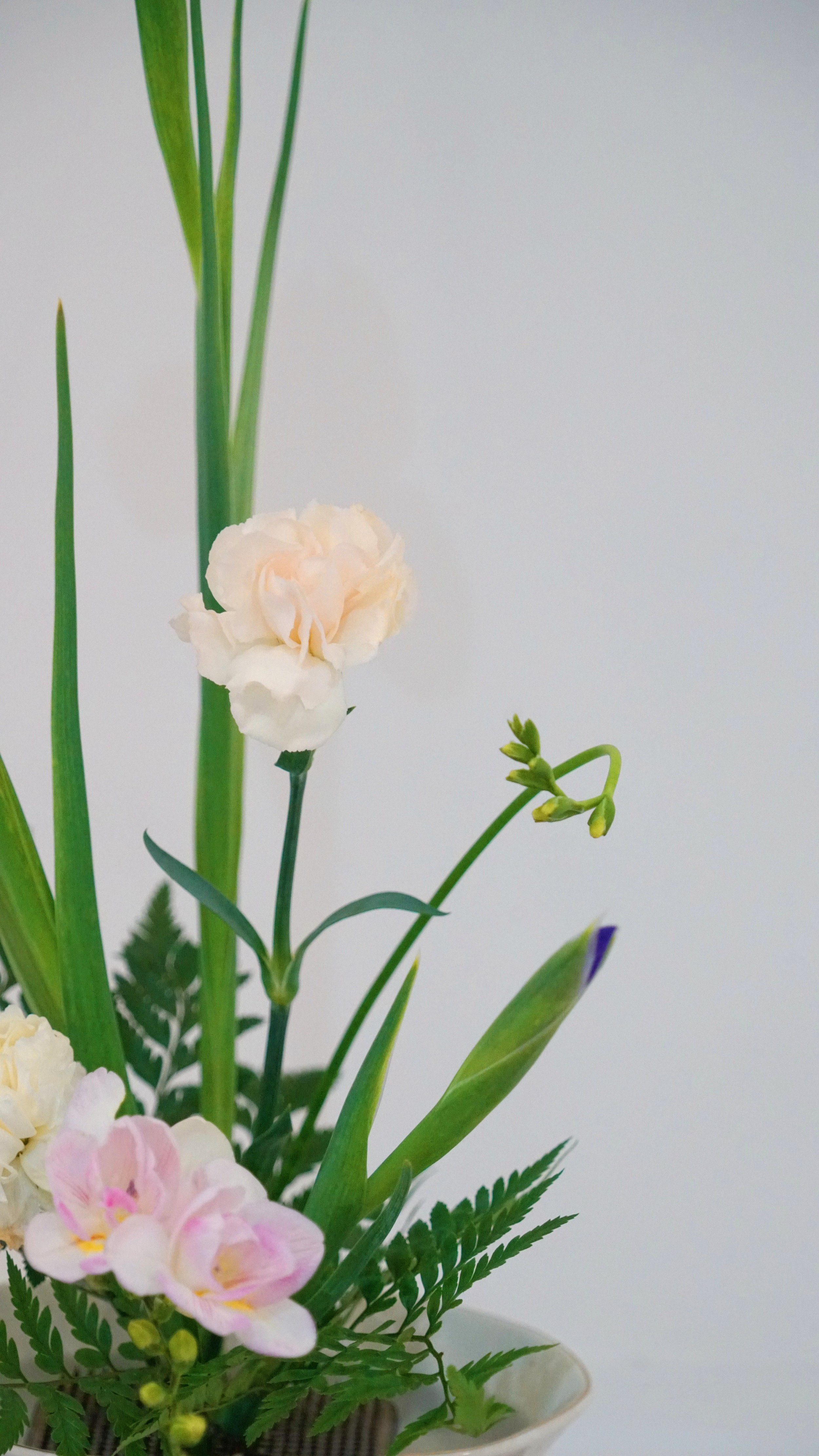 Photo 07-03-2026 19 13 50 (8).jpg