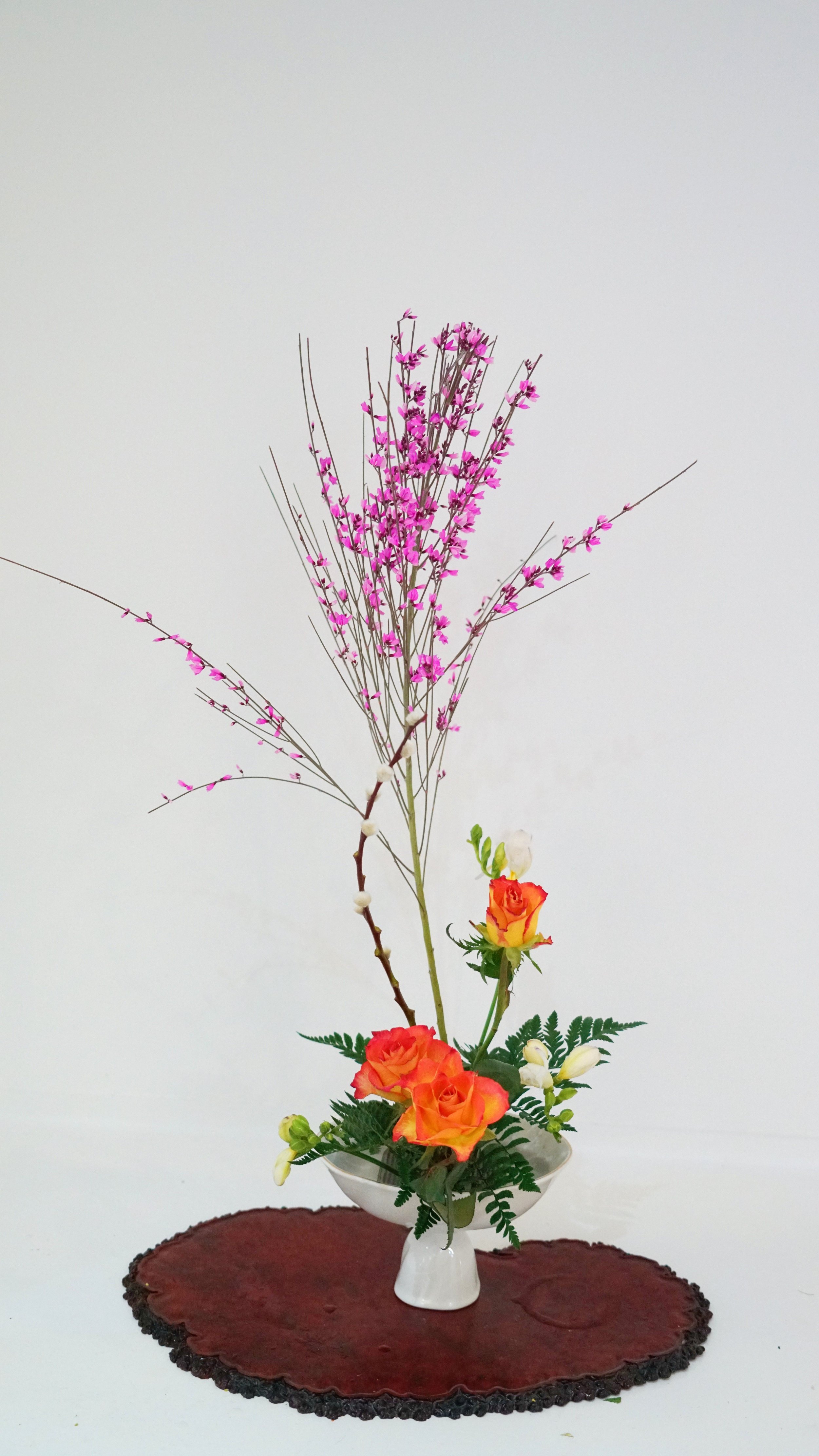 Photo 28-02-2026 20 51 46 (2).jpg