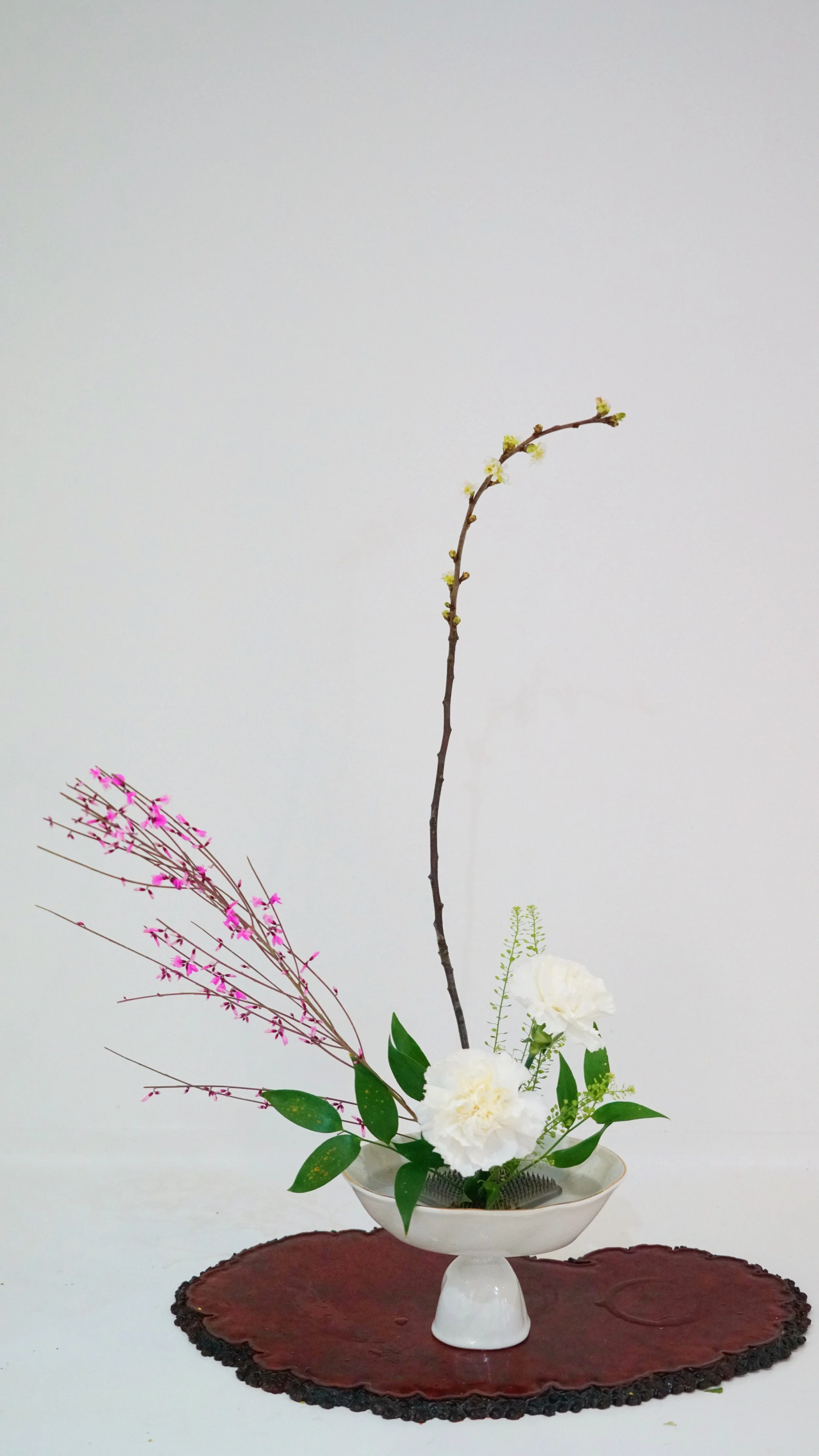 Photo 28-02-2026 20 51 46.jpg