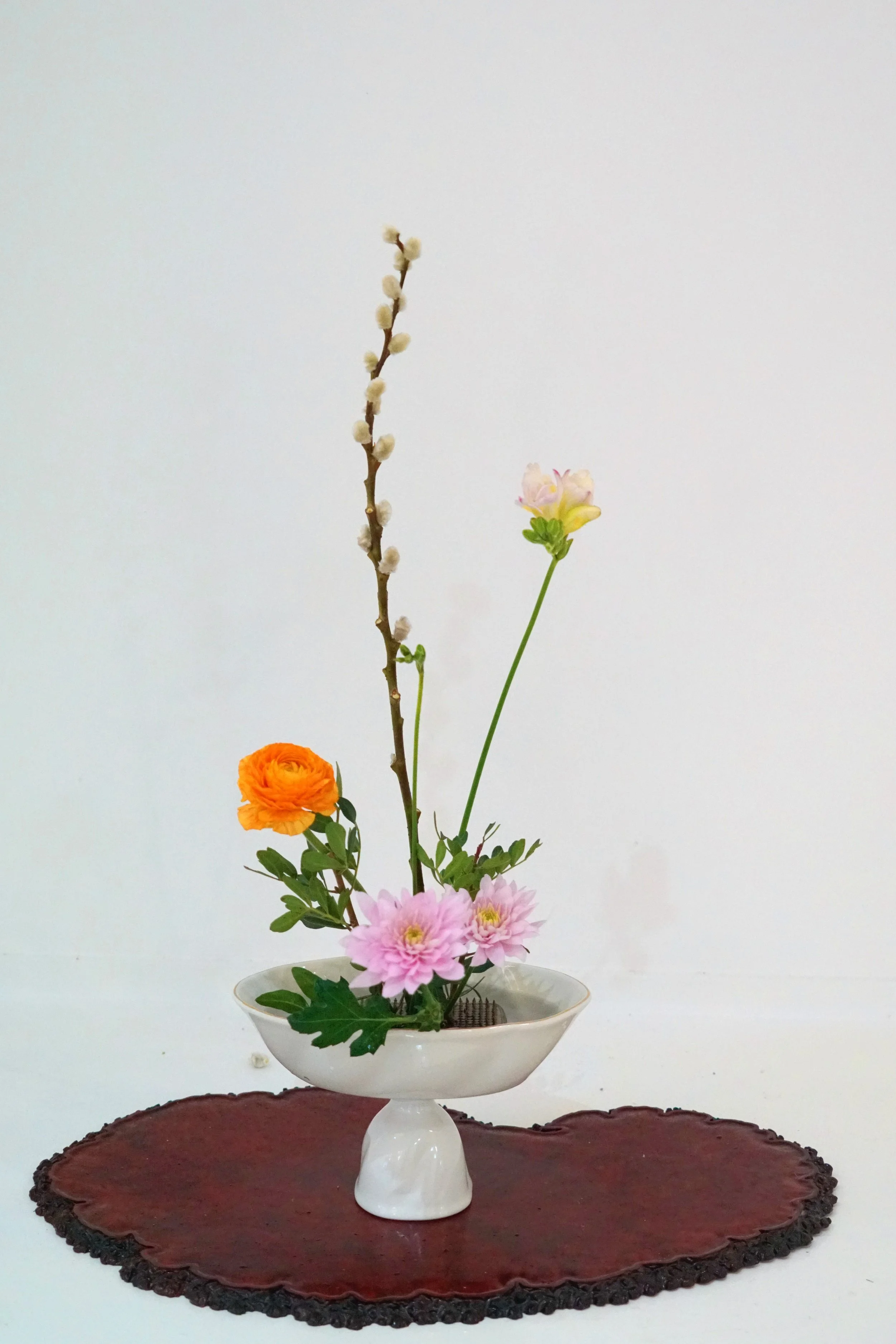 Photo 28-02-2026 20 48 09 (1).jpg