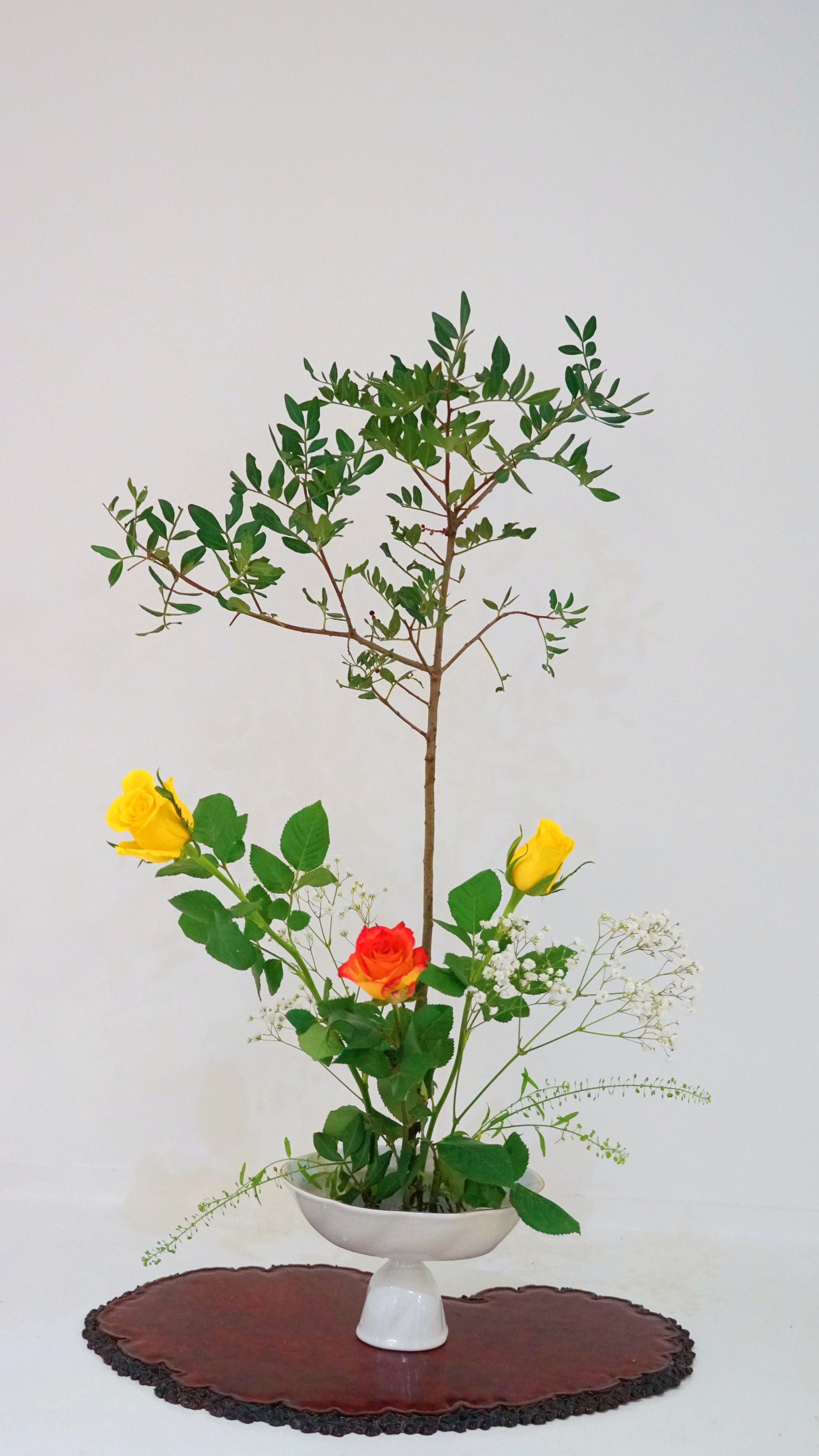 photo 28-02-2026 20 42 34.jpg