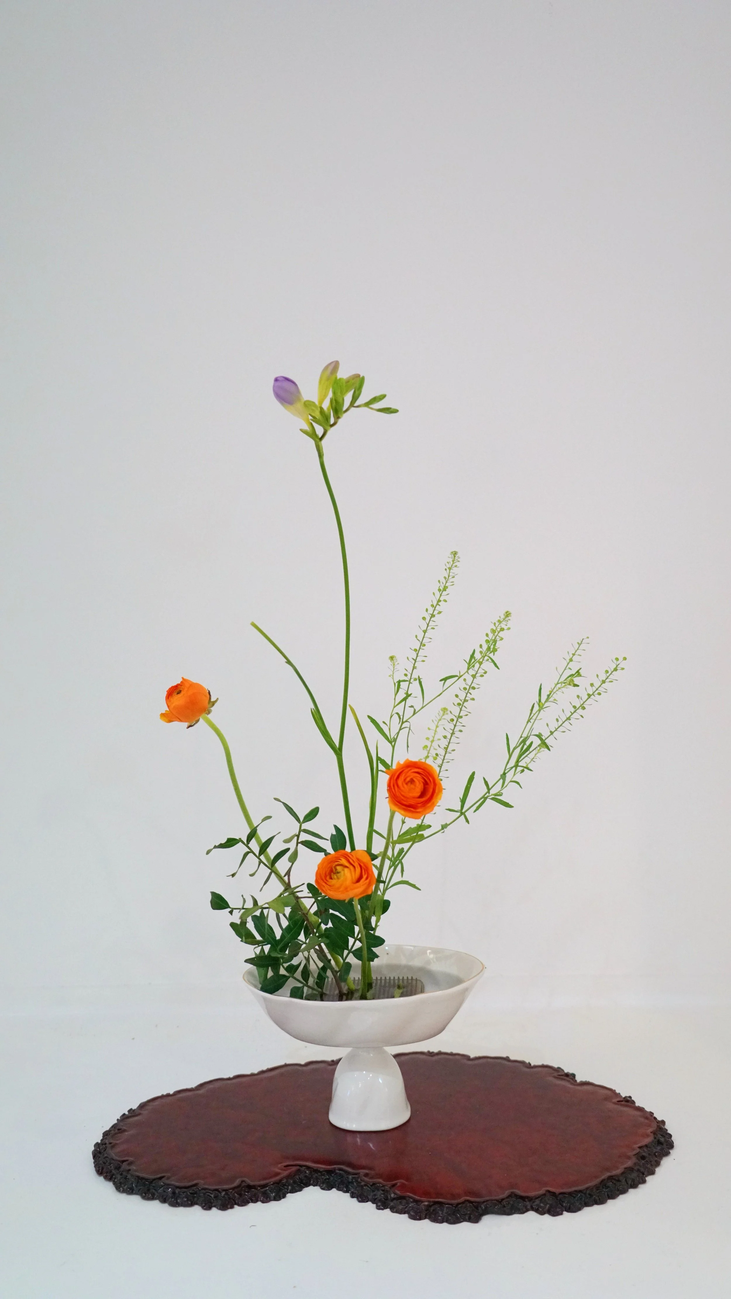 Photo 26-02-2026 09 34 32 (1).jpg