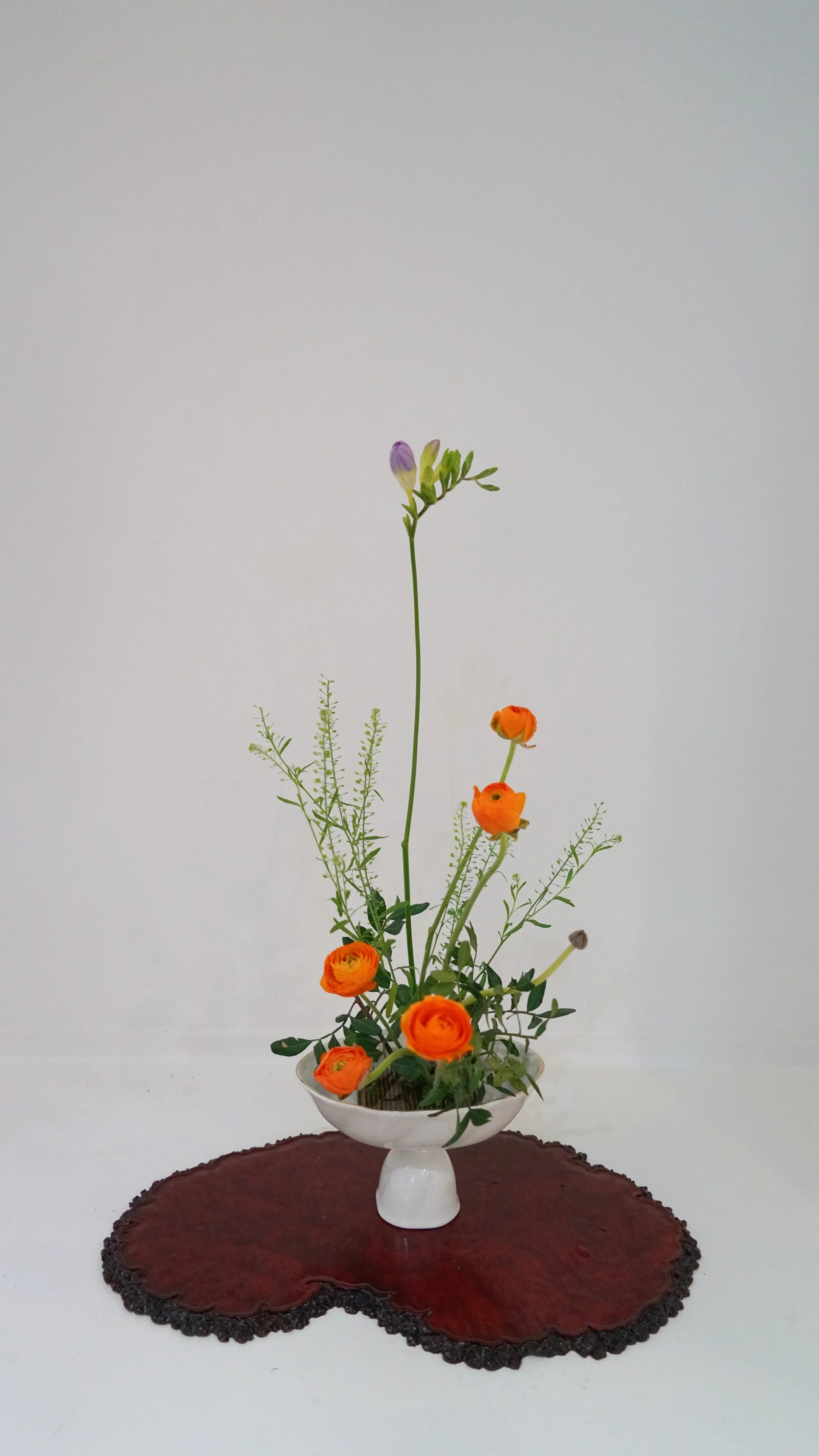 Photo 26-02-2026 09 34 32.jpg