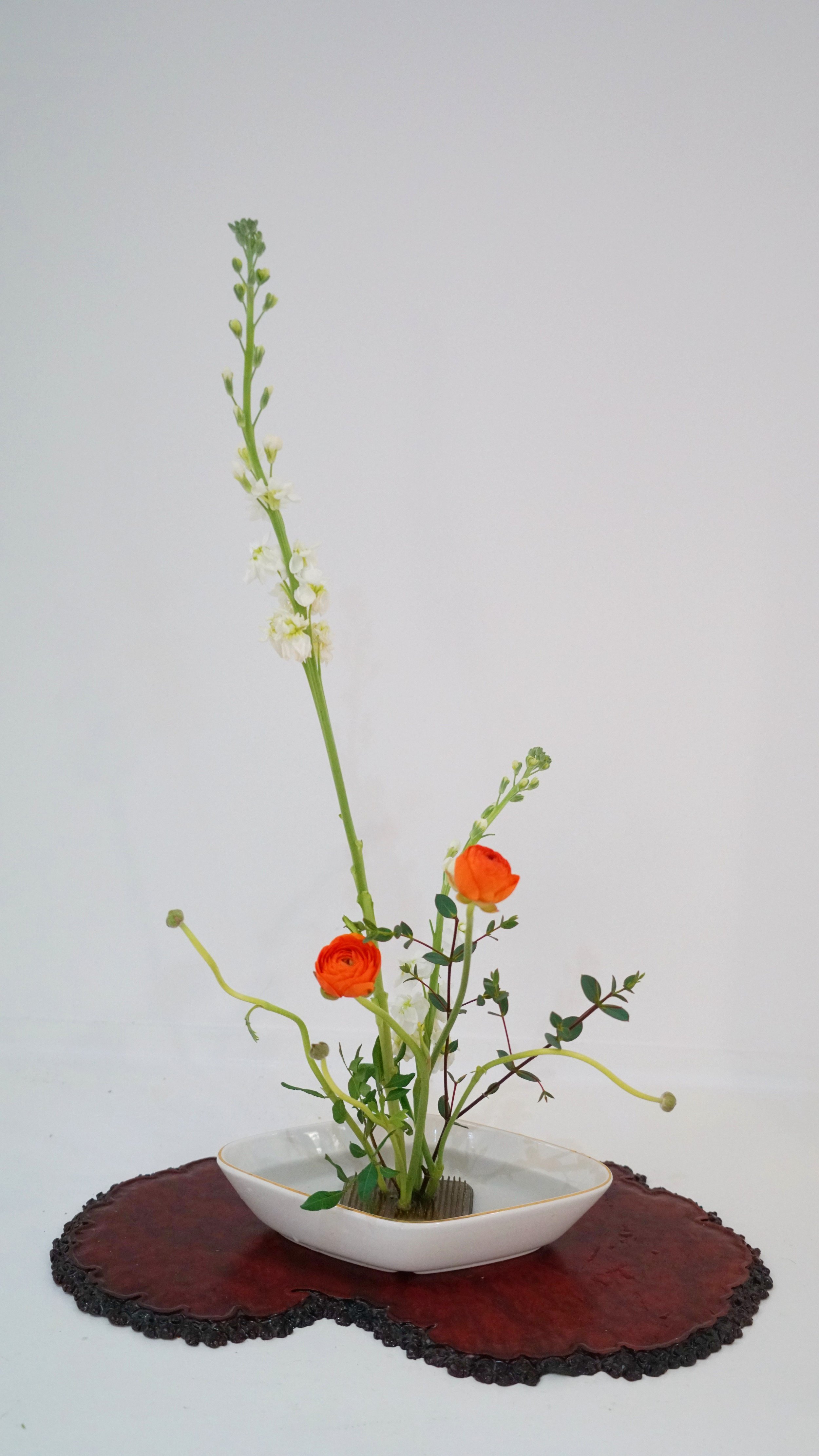 photo 26-02-2026 09 02 21 (3).jpg