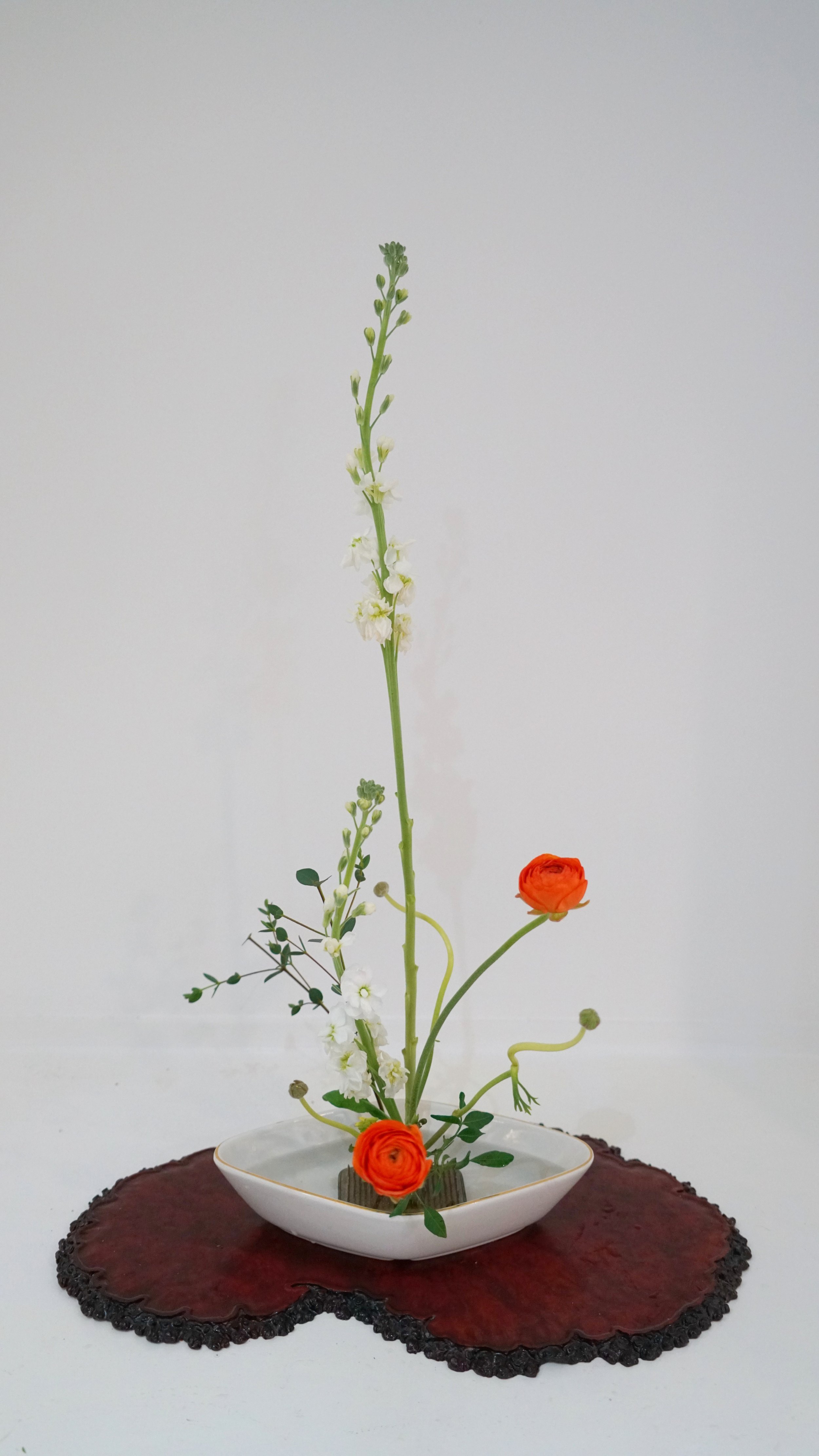 photo 26-02-2026 09 02 21 (2).jpg