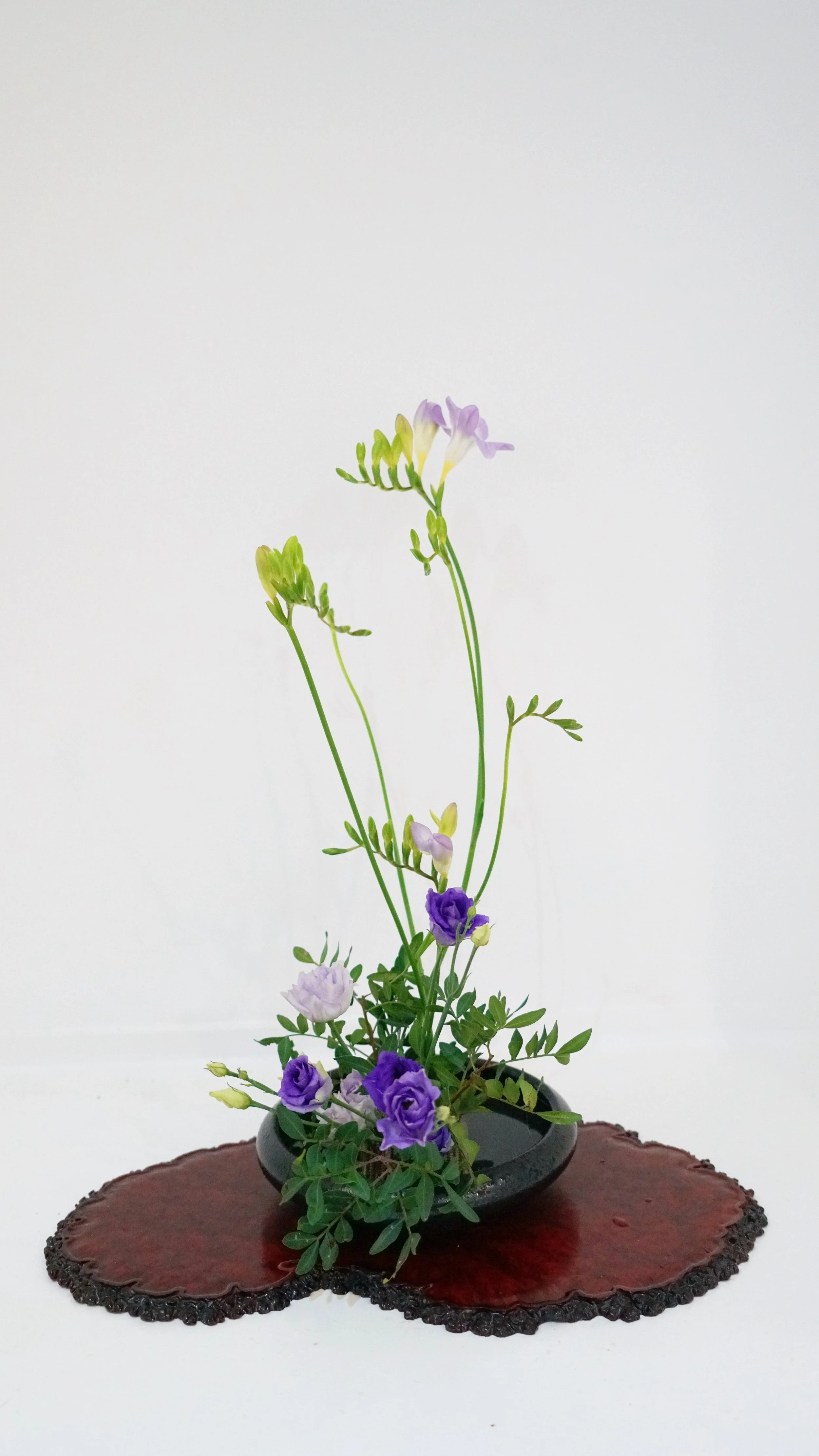 Photo 26-02-2026 08 57 29.jpg