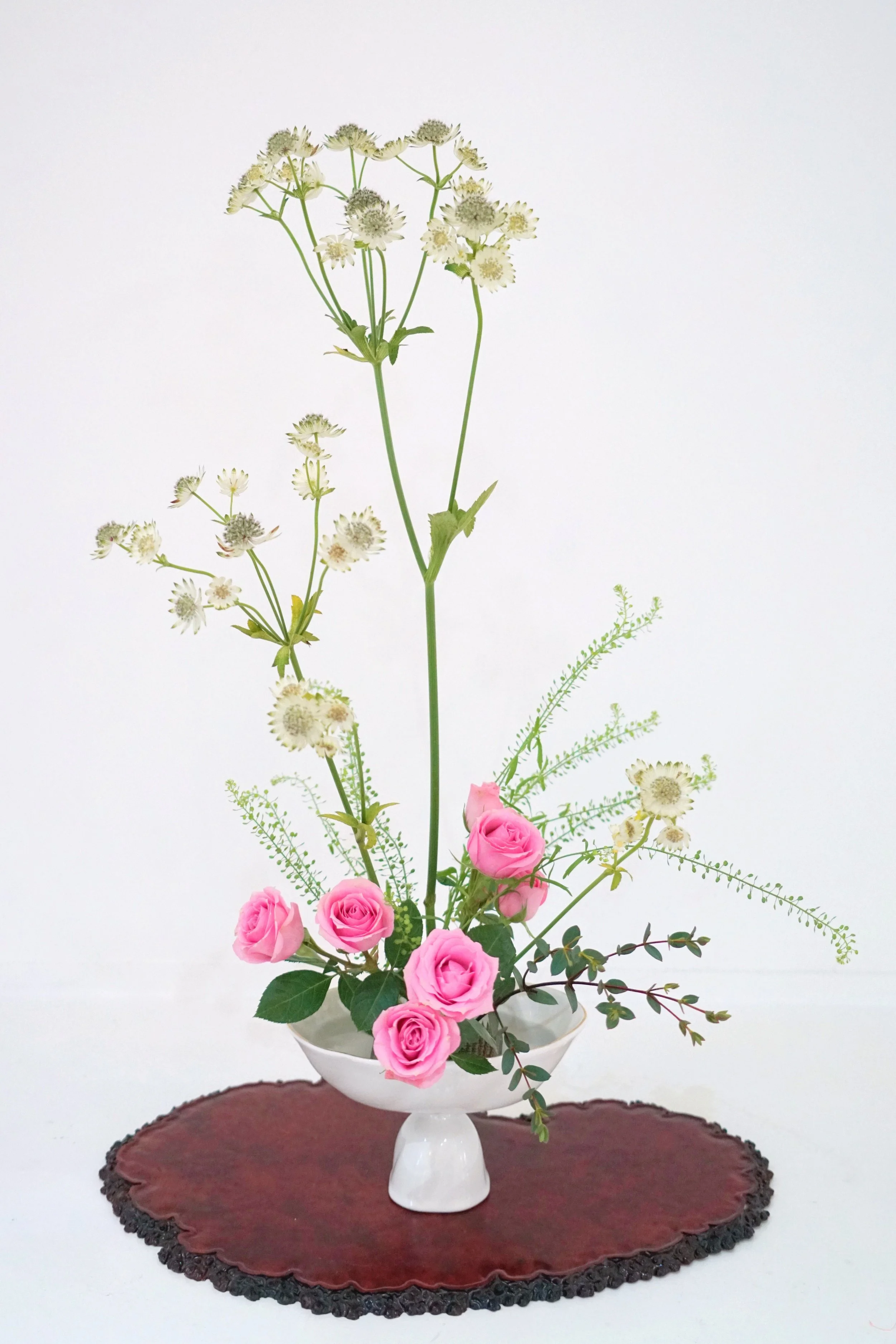 Photo 15-02-2026 09 41 23 (1).jpg