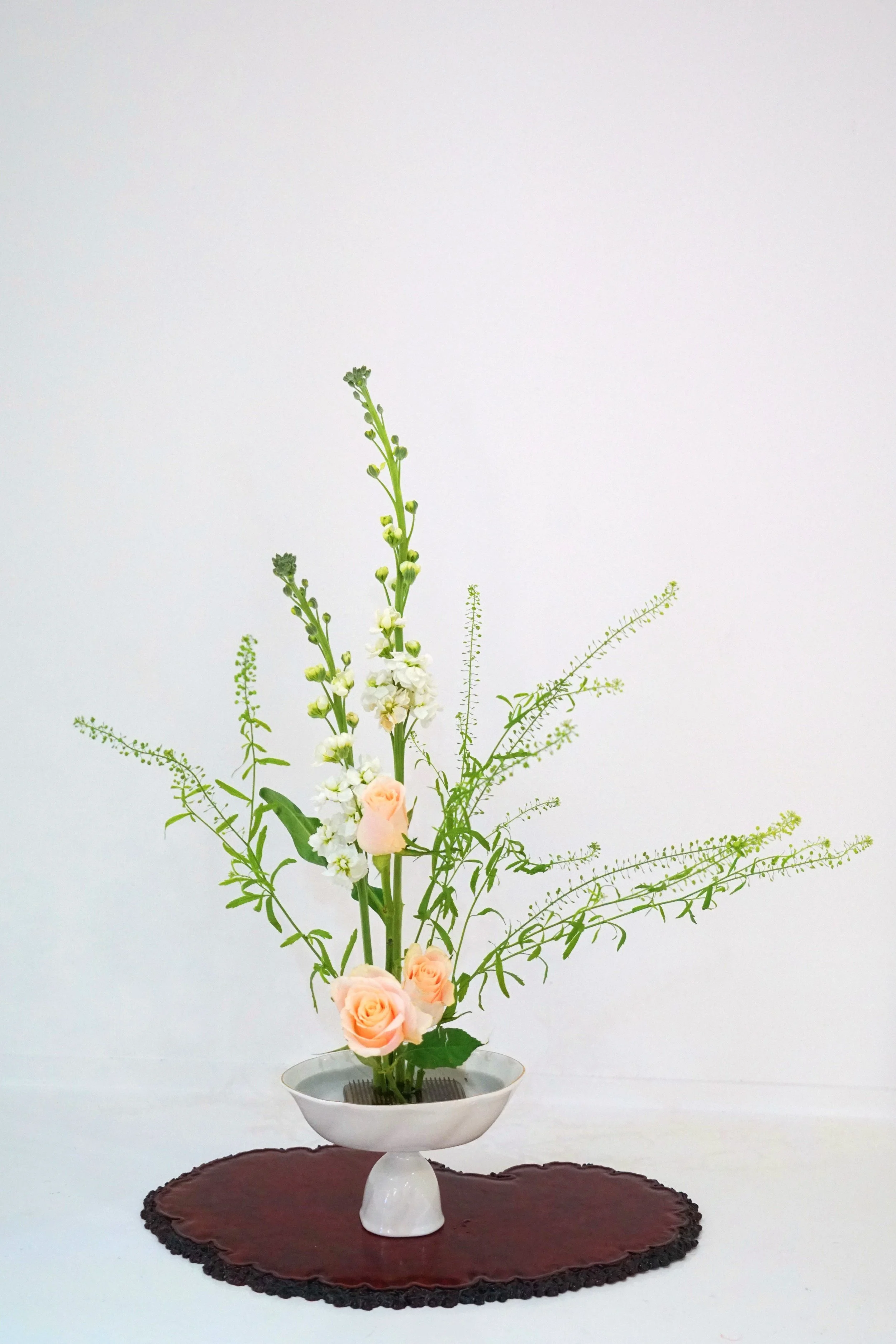 image 11-02-2026 20 58 47 (6).jpg