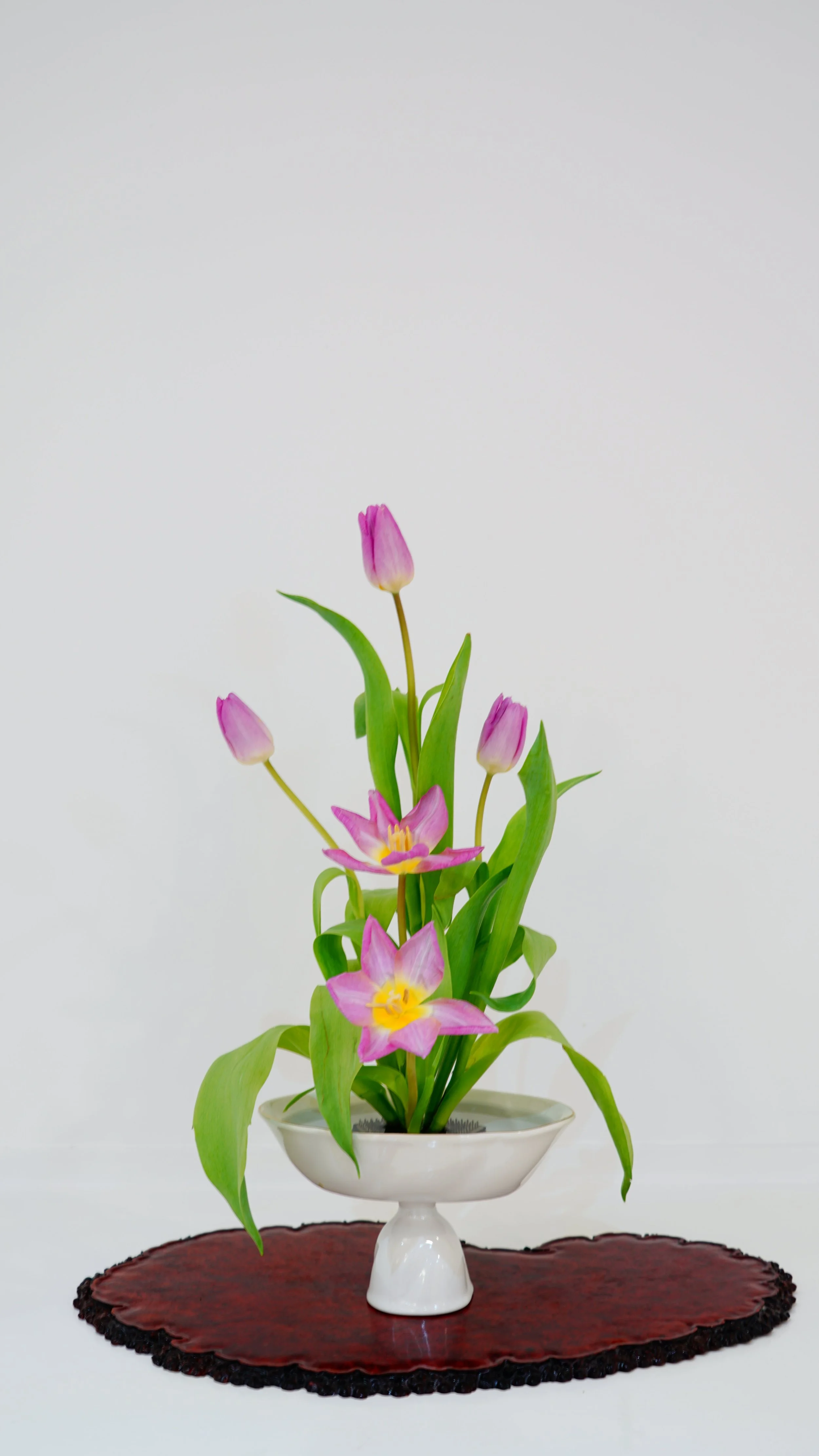 Weixin Image_20260206122507_1930_8.jpg