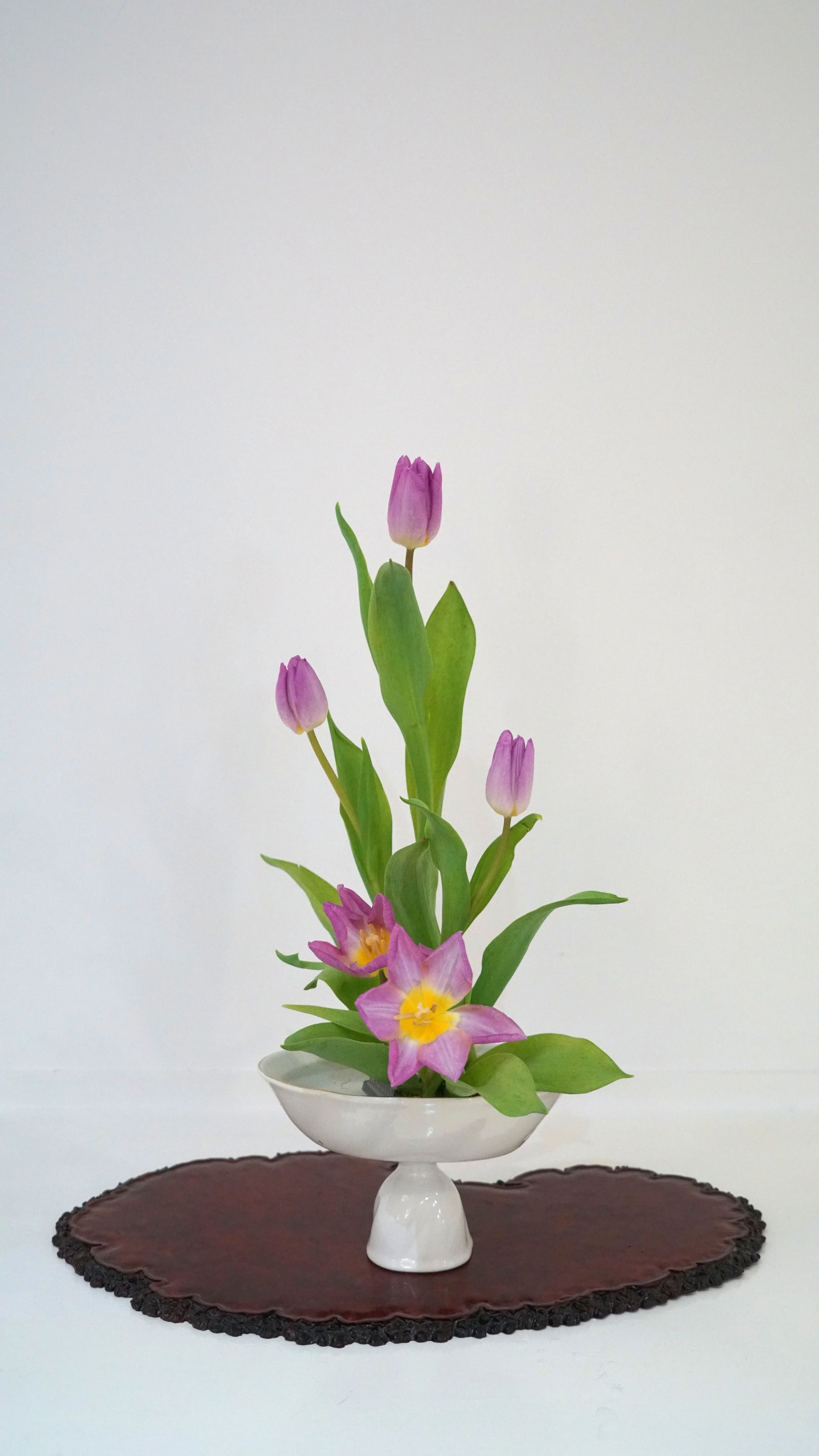 Weixin Image_20260206122515_1931_8.jpg