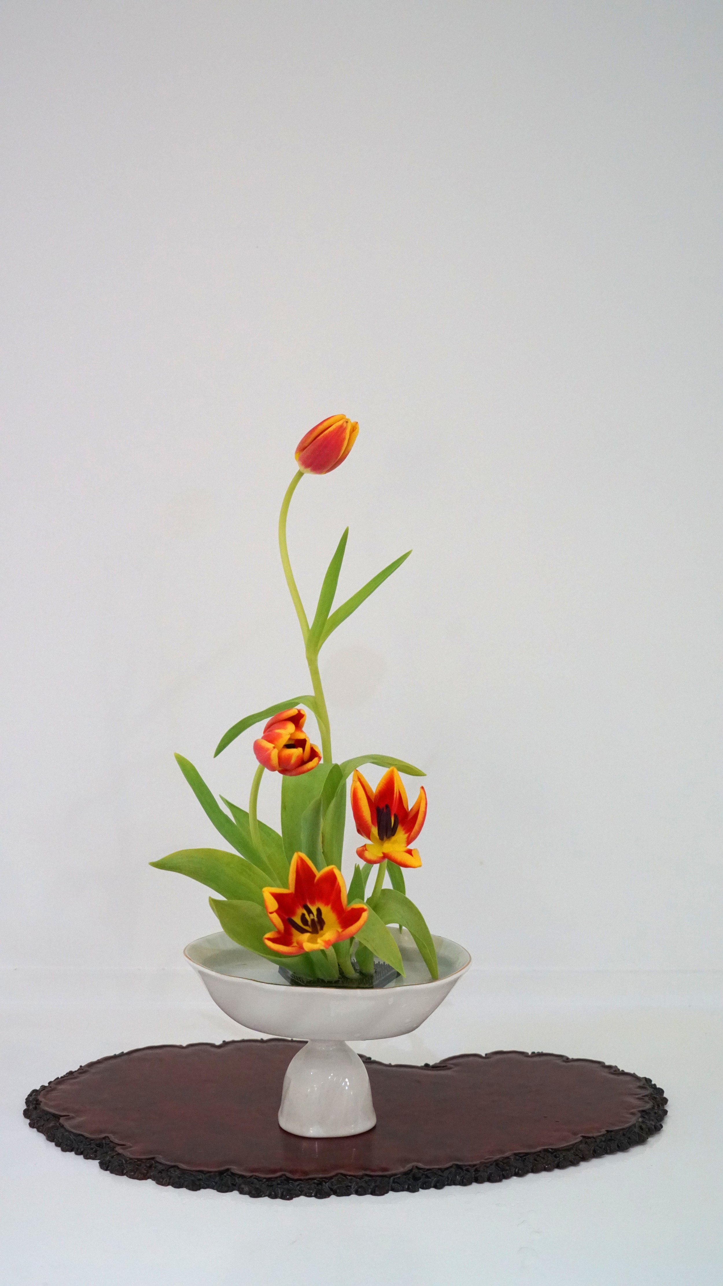 Weixin Image_20260206122459_1929_8.jpg