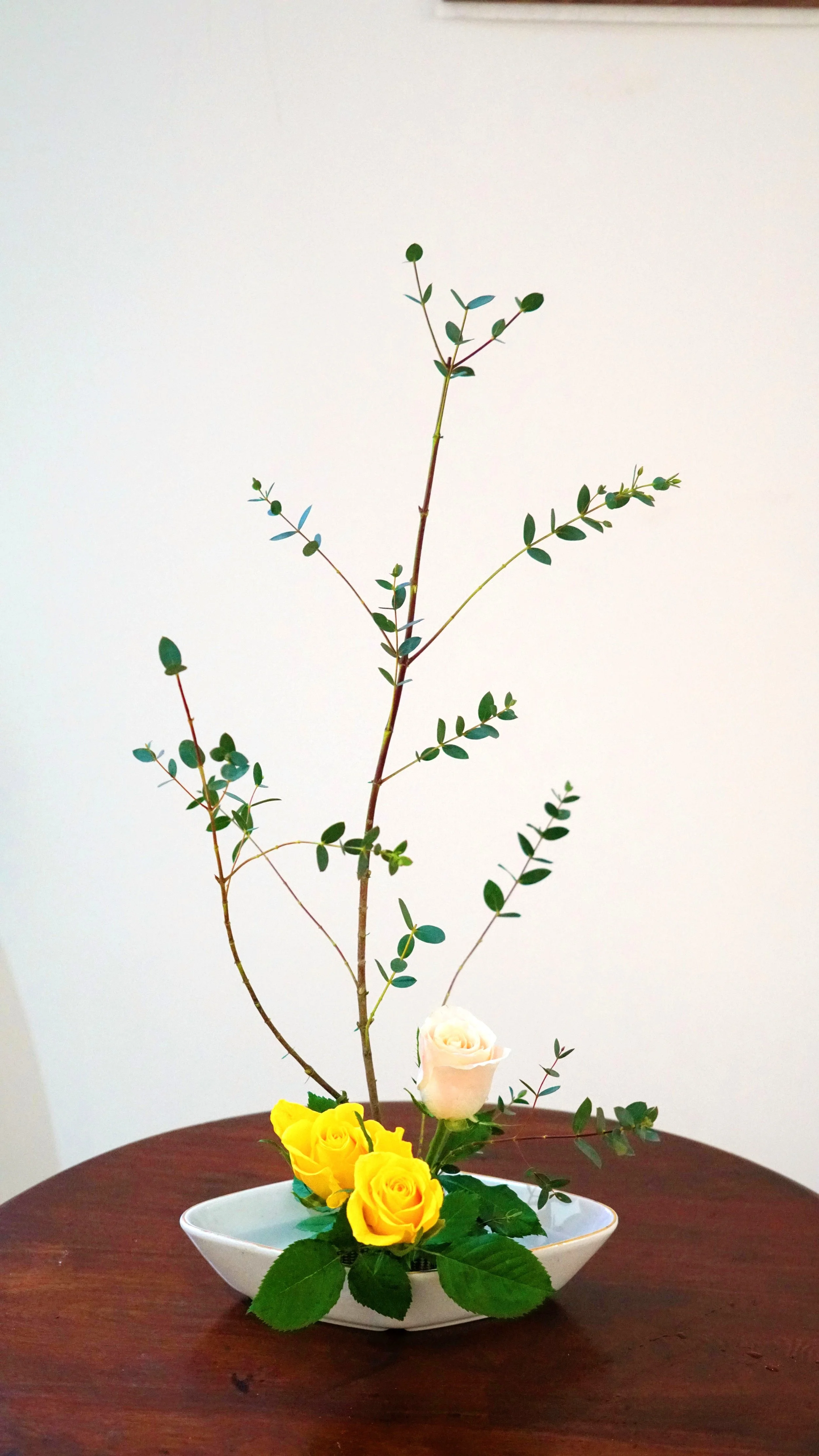 Weixin Image_20260203091321_1838_8.jpg