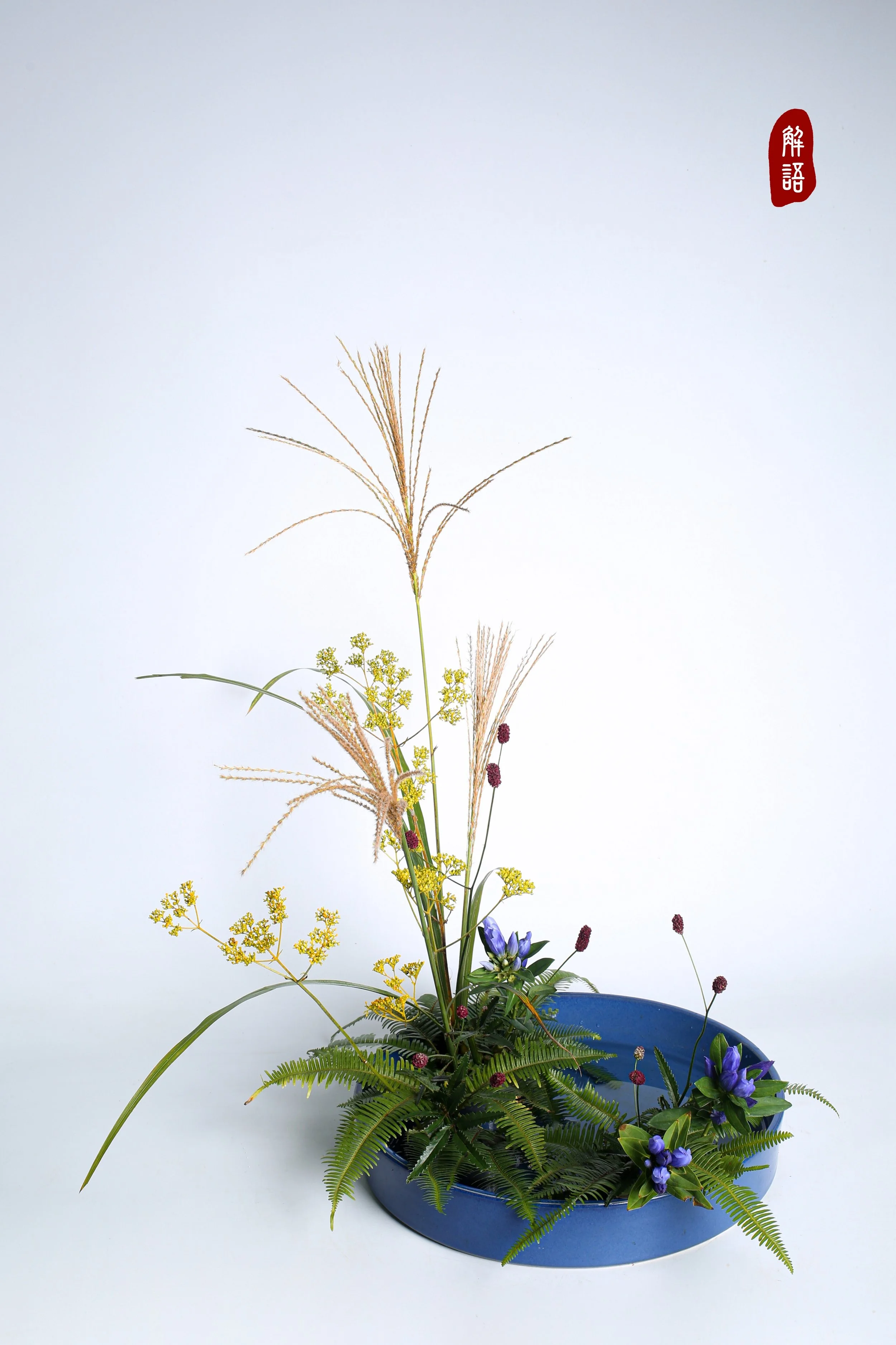 照片 17-09-2023 09 10 32.jpg