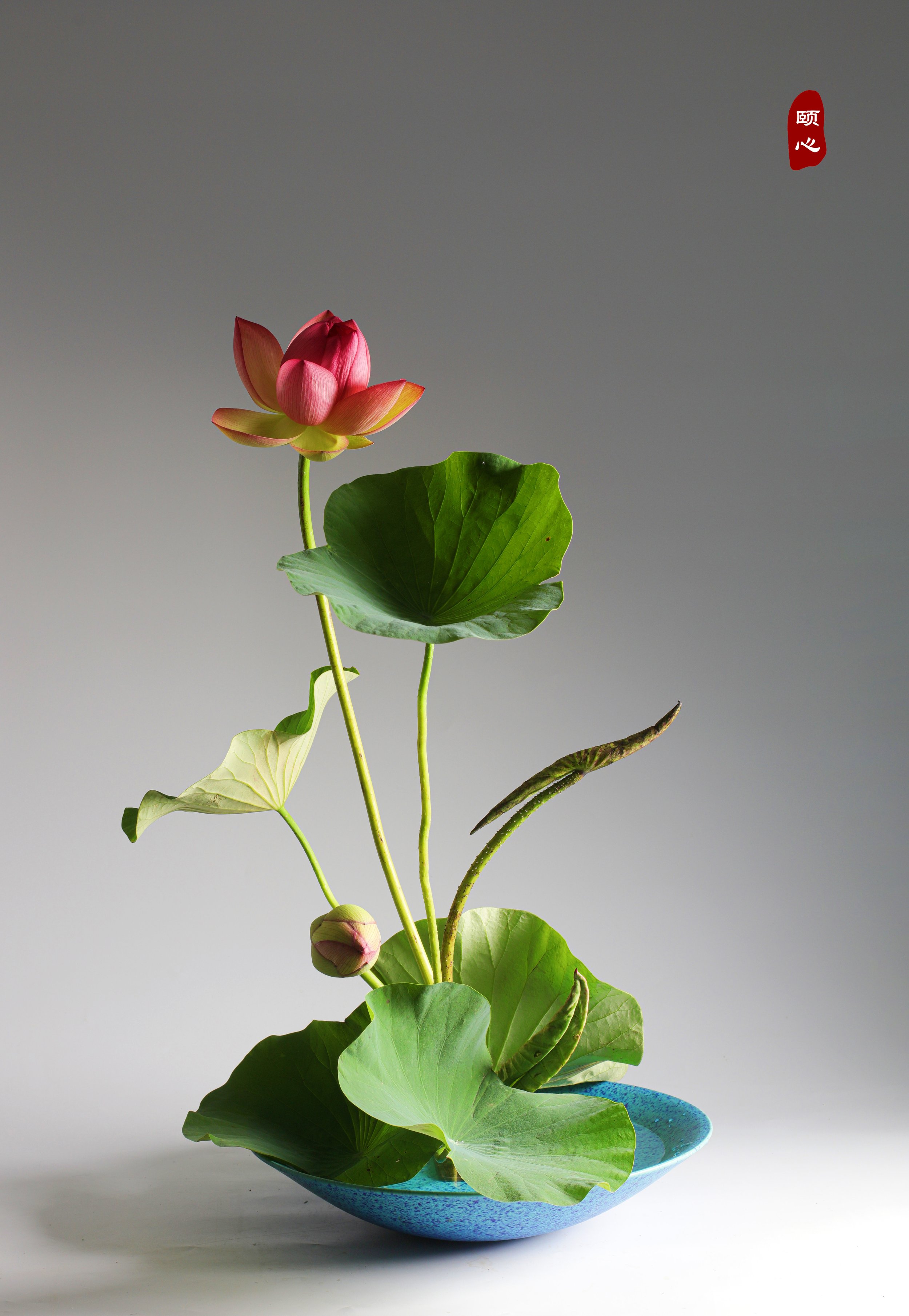 照片 24-03-2026 12 55 00 (10).jpg