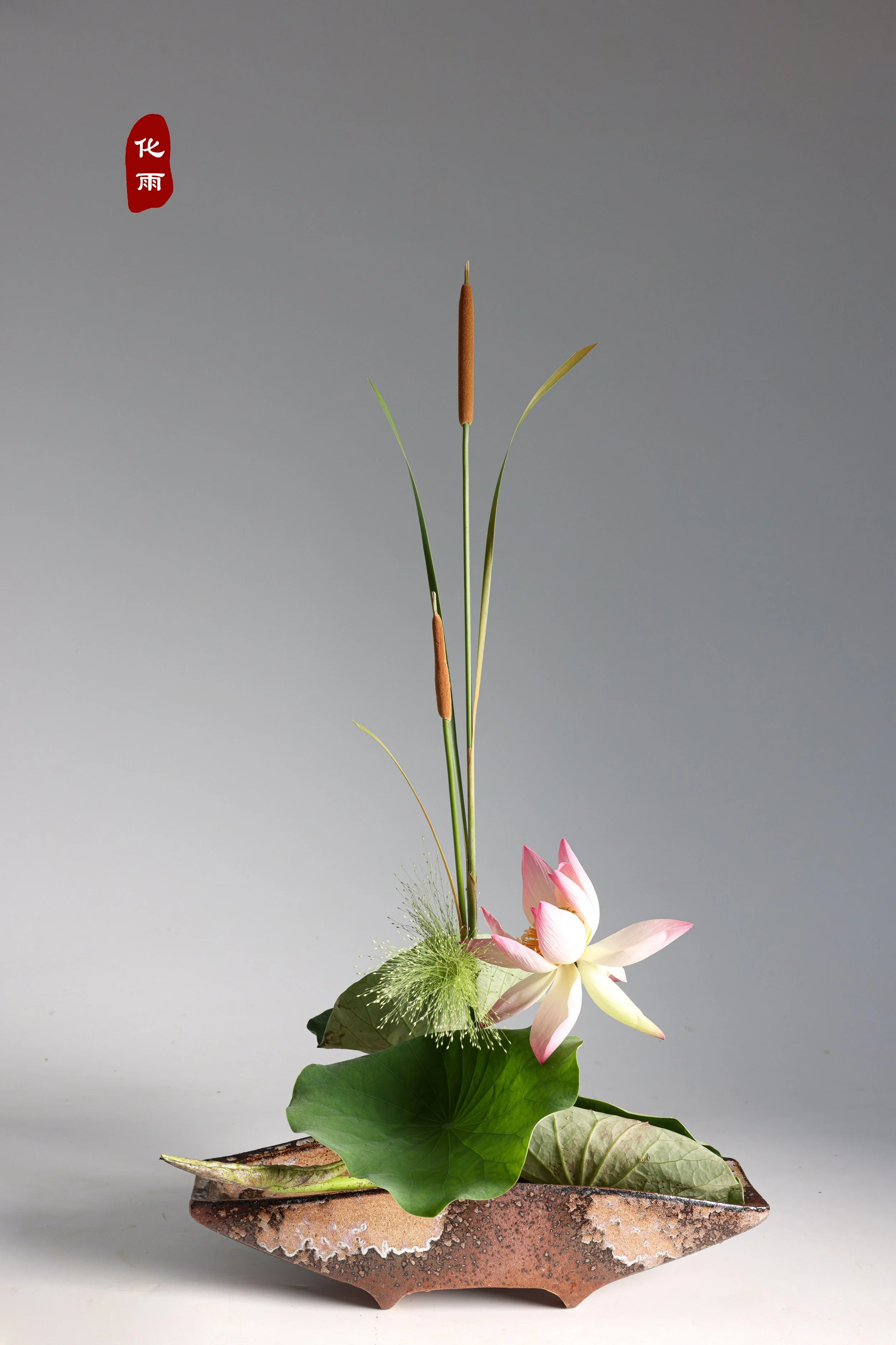 照片 24-03-2026 12 55 00 (3).jpg