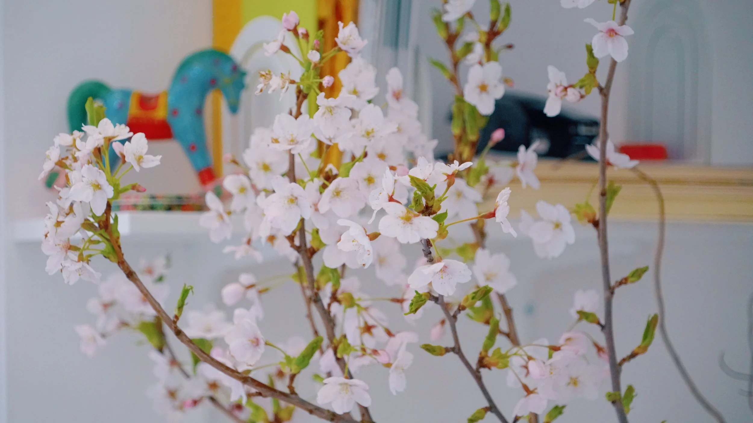 Photo 22-03-2026 20 01 44 (1).jpg