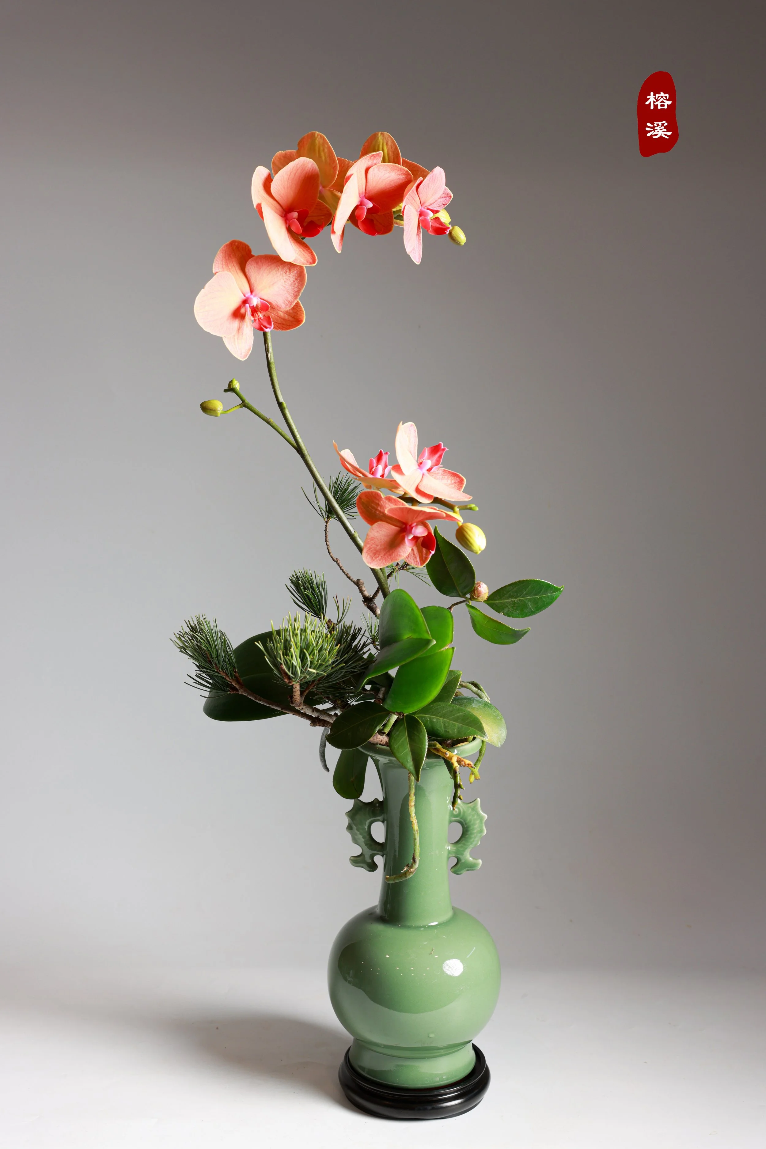 照片 23-03-2026 00 09 21 (4).jpg