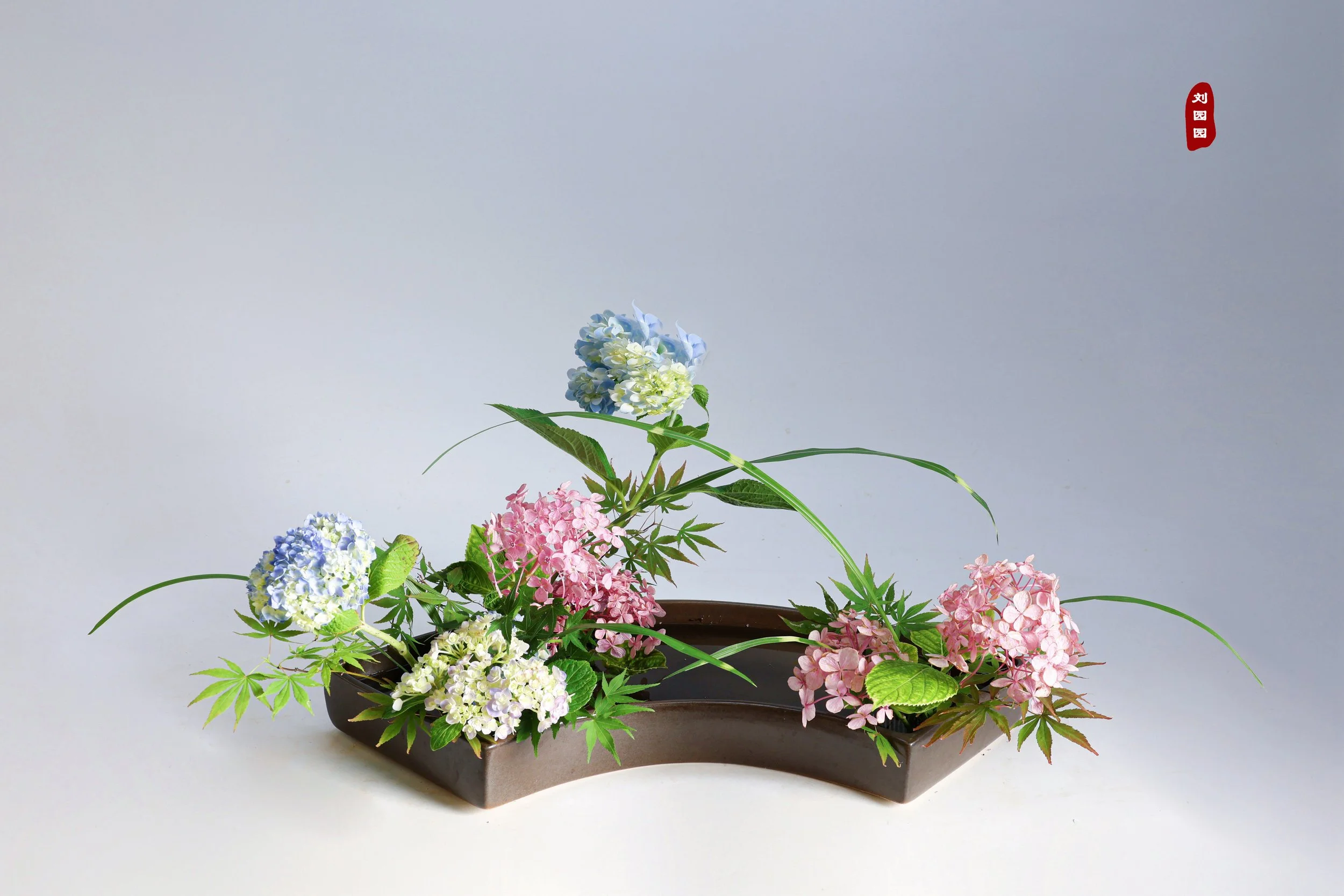 照片 23-06-2025 16 33 32.jpg