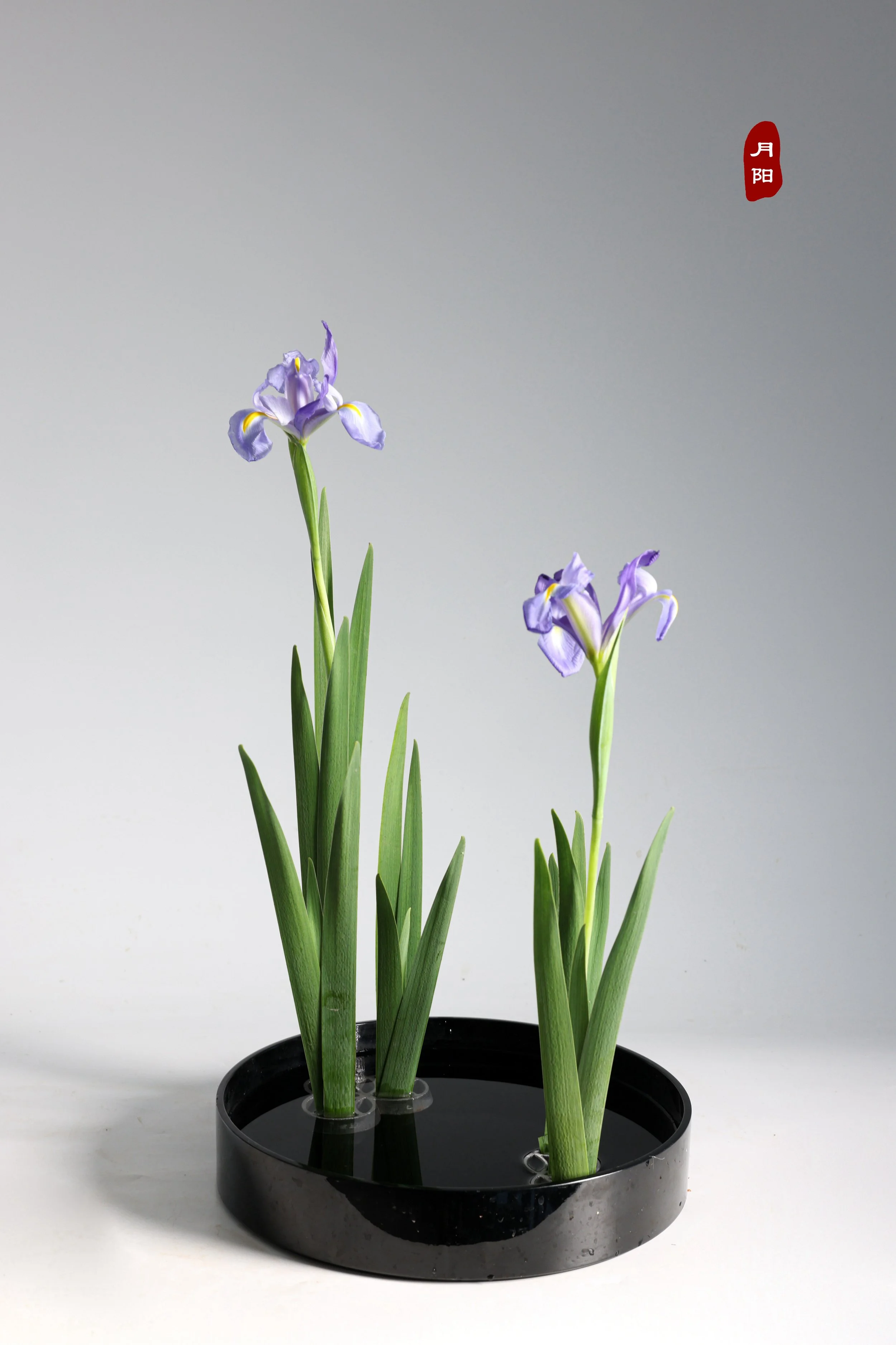 照片 17-06-2025 23 44 44.jpg