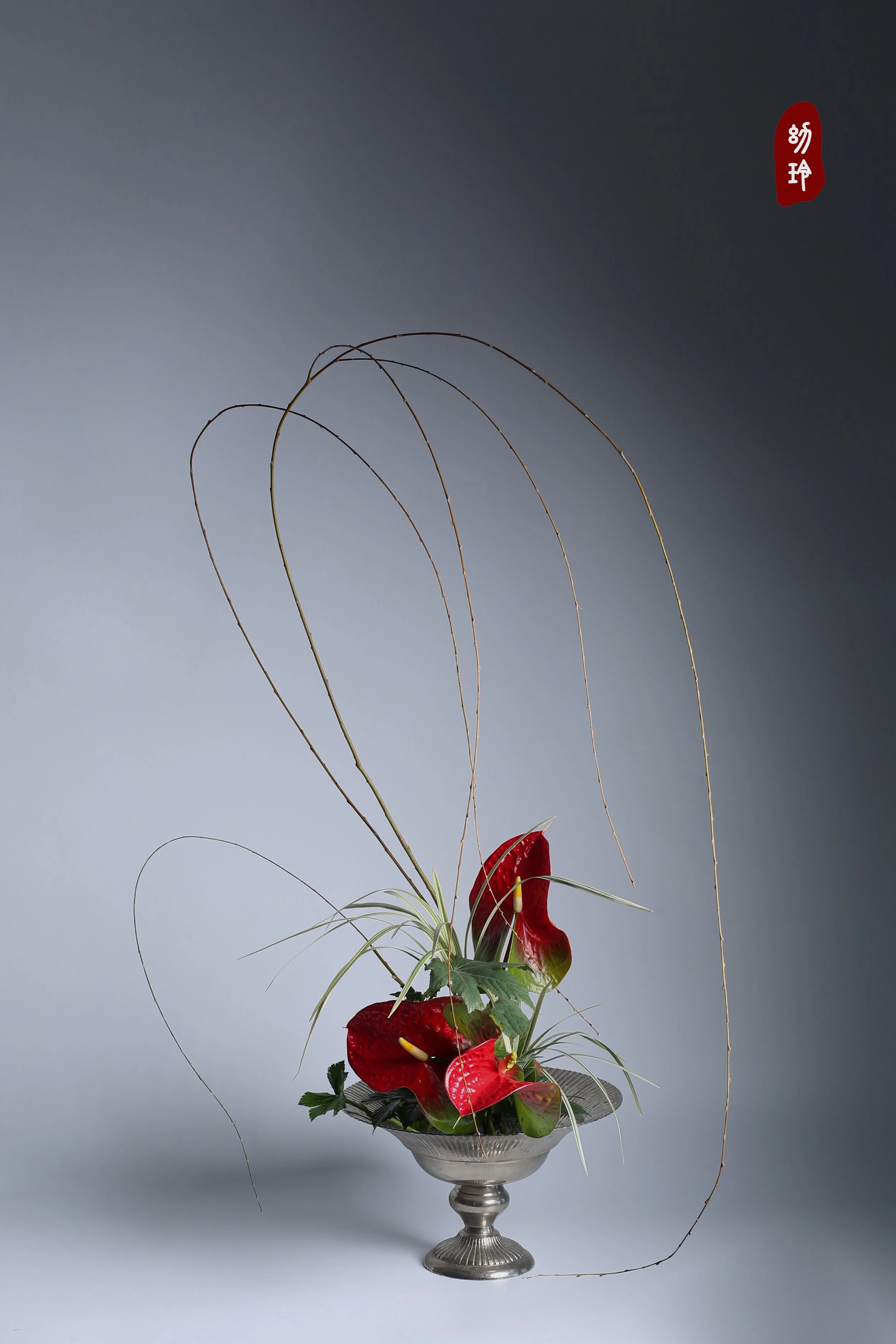 照片 29-12-2023 09 19 41.jpg