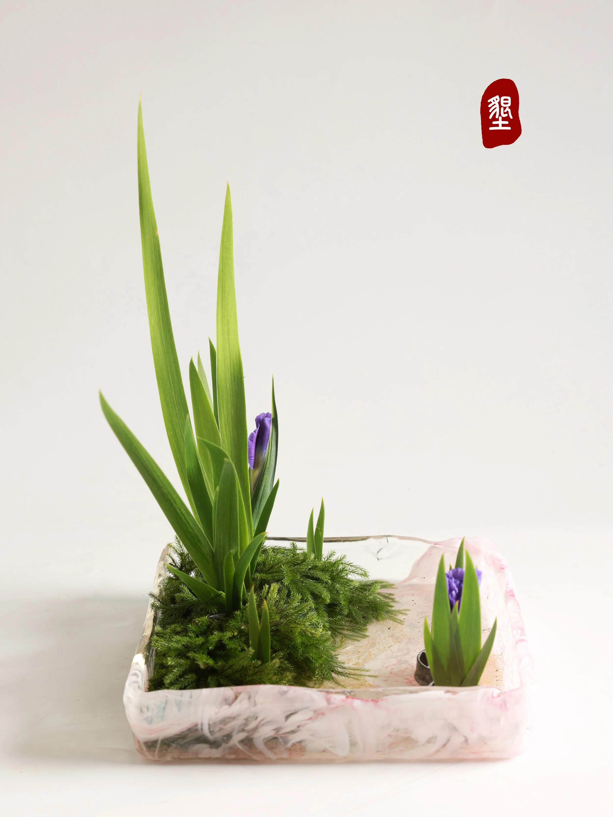 照片 23-03-2026 00 09 21.jpg