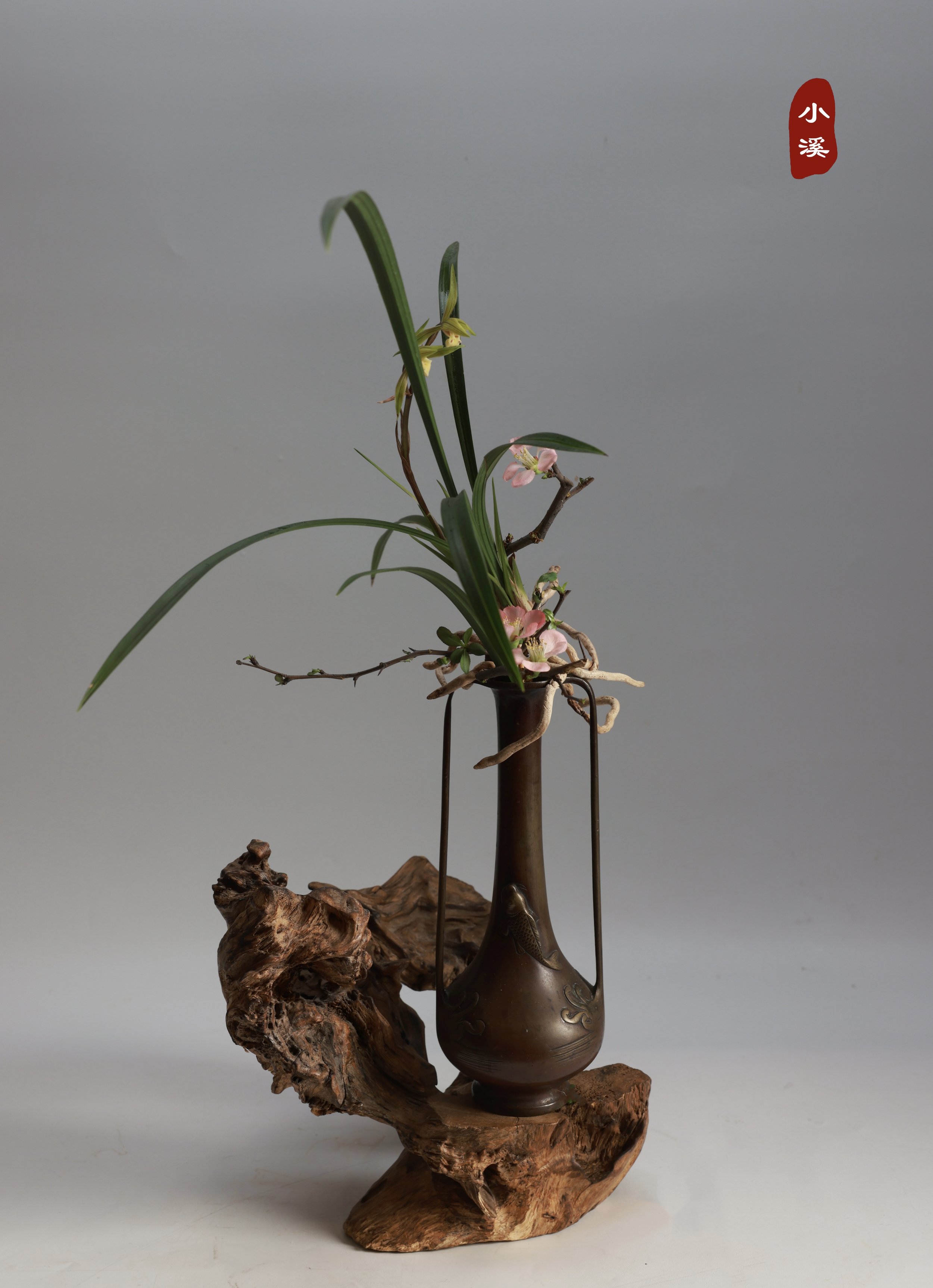 照片 23-03-2026 00 09 21 (3).jpg