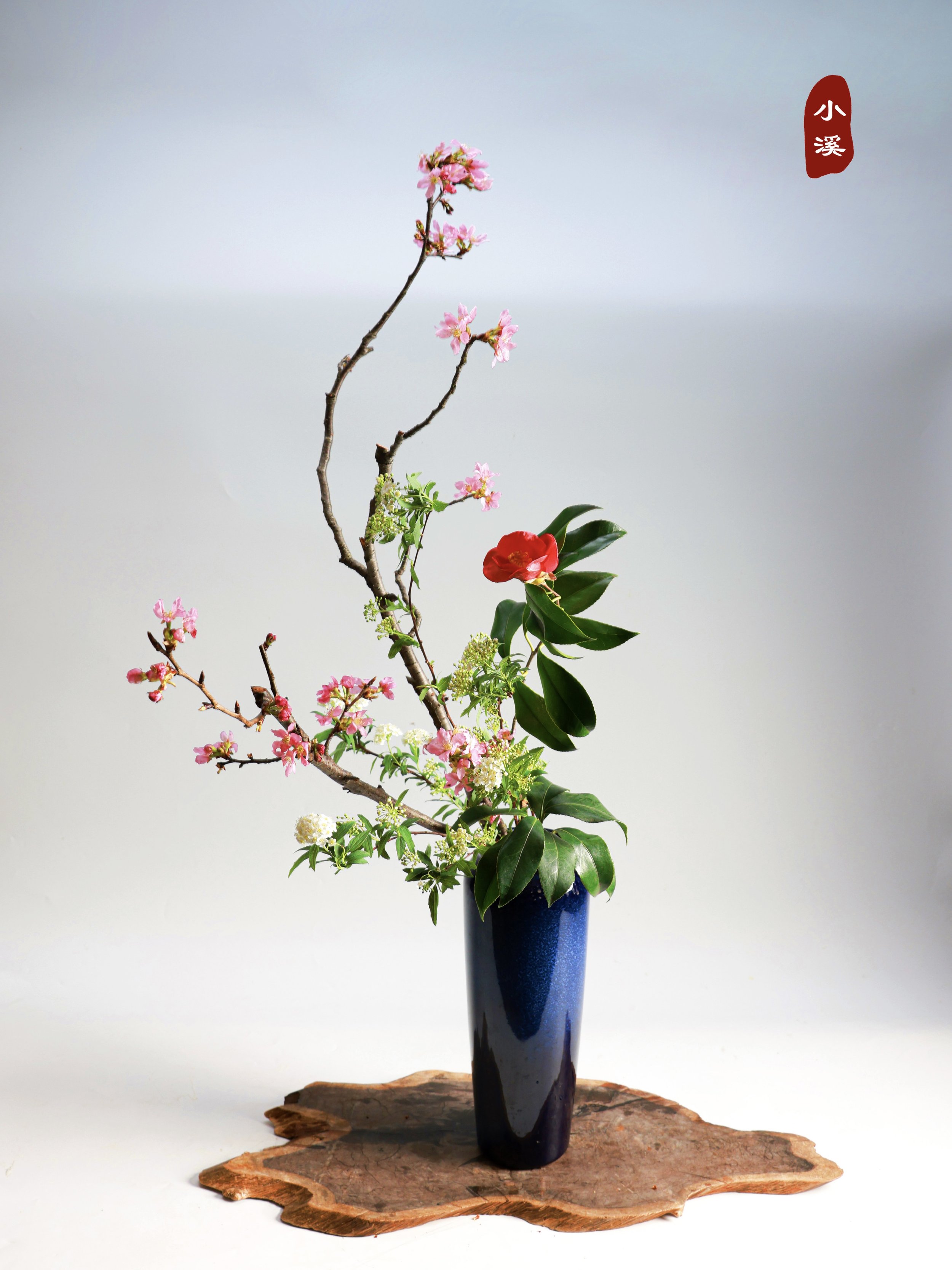 照片 23-03-2026 00 09 21 (2).jpg