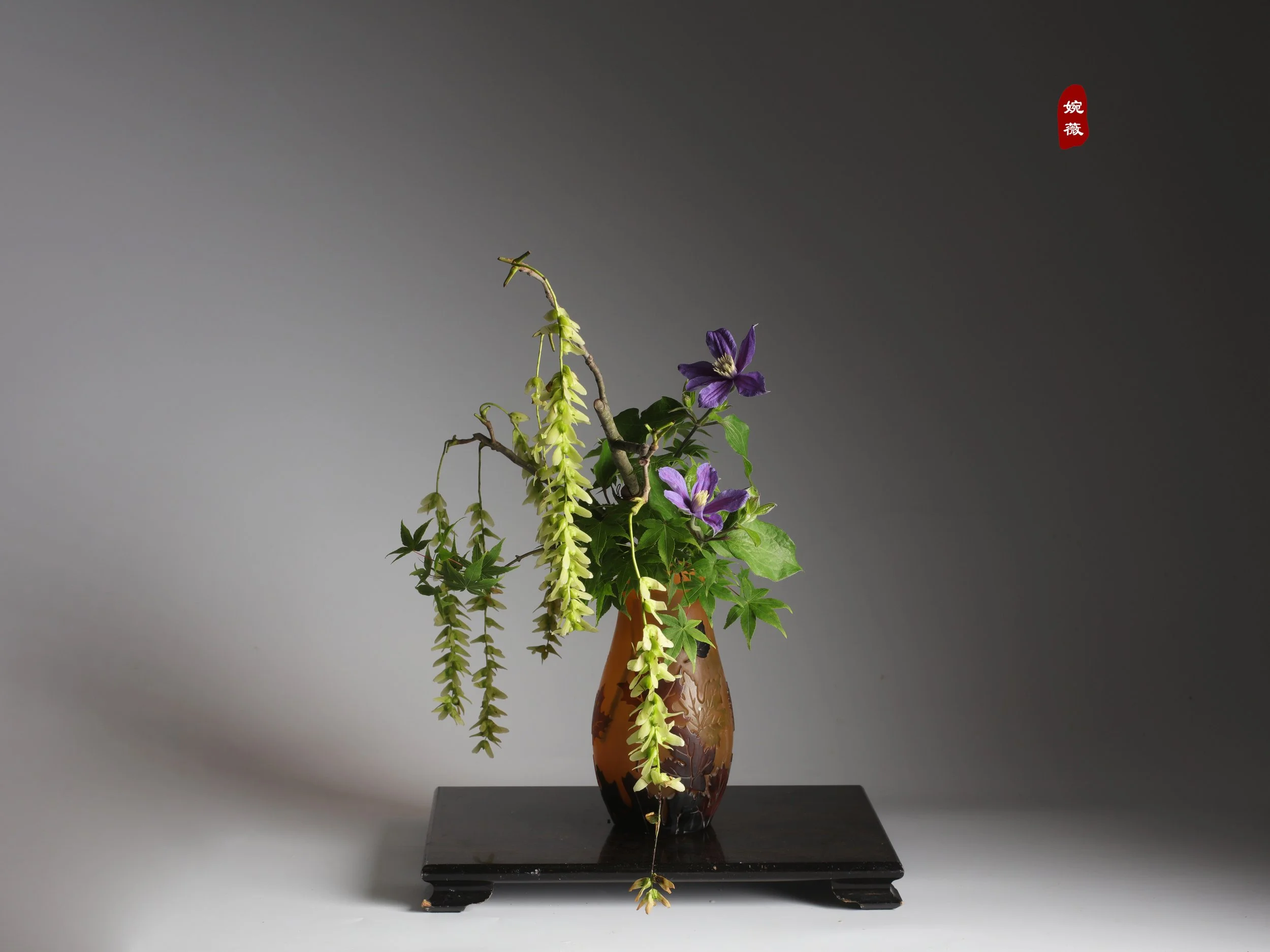 照片 24-03-2026 12 55 00 (15).jpg